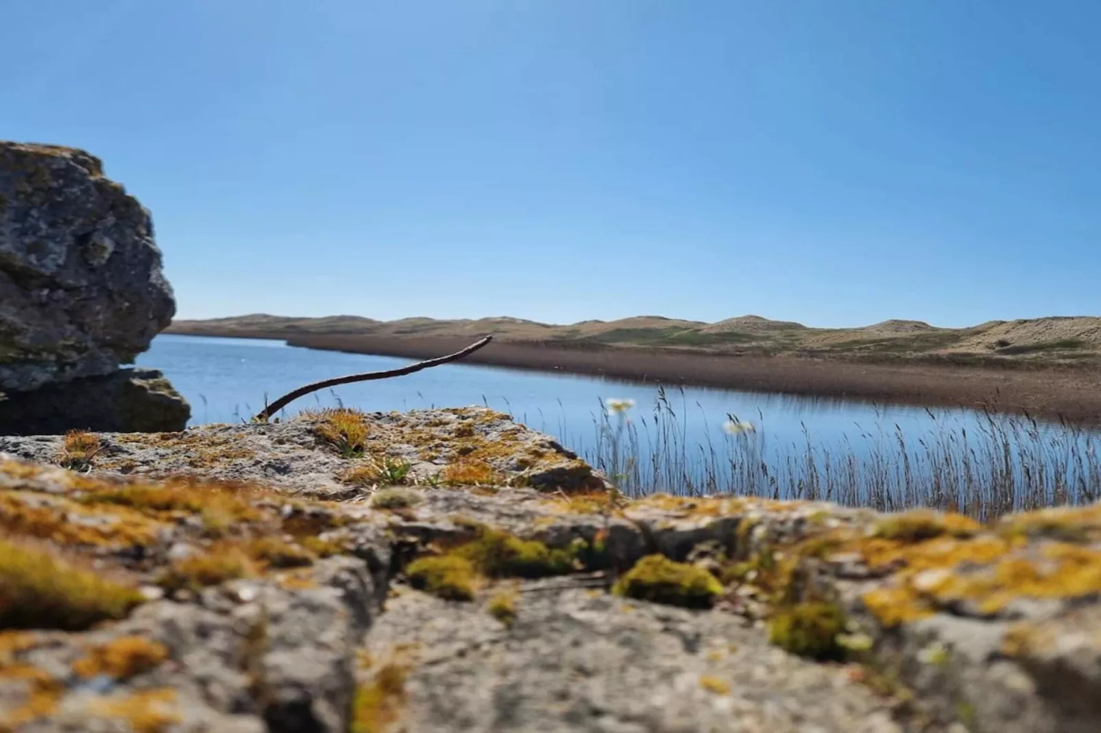 Kustliche Ruhe in Nymindegab-By Traum-Wasserblick
