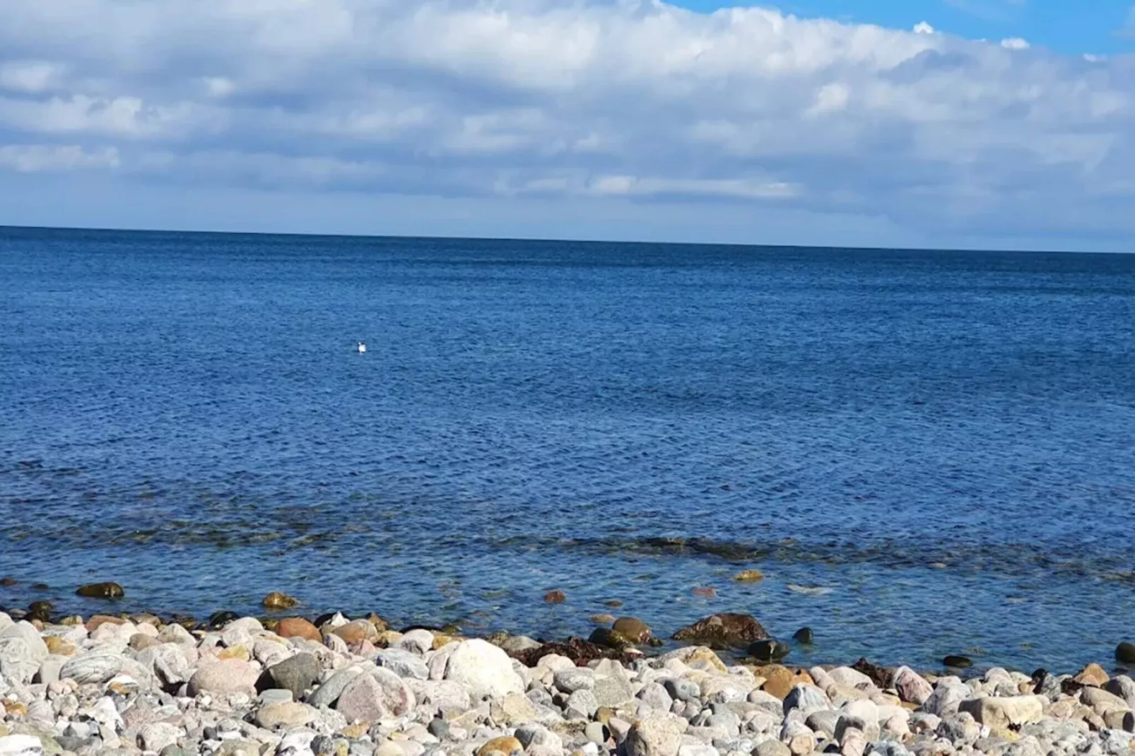 Maison de vacances pour 8 a Sjællands Odde-Vue sur l'eau