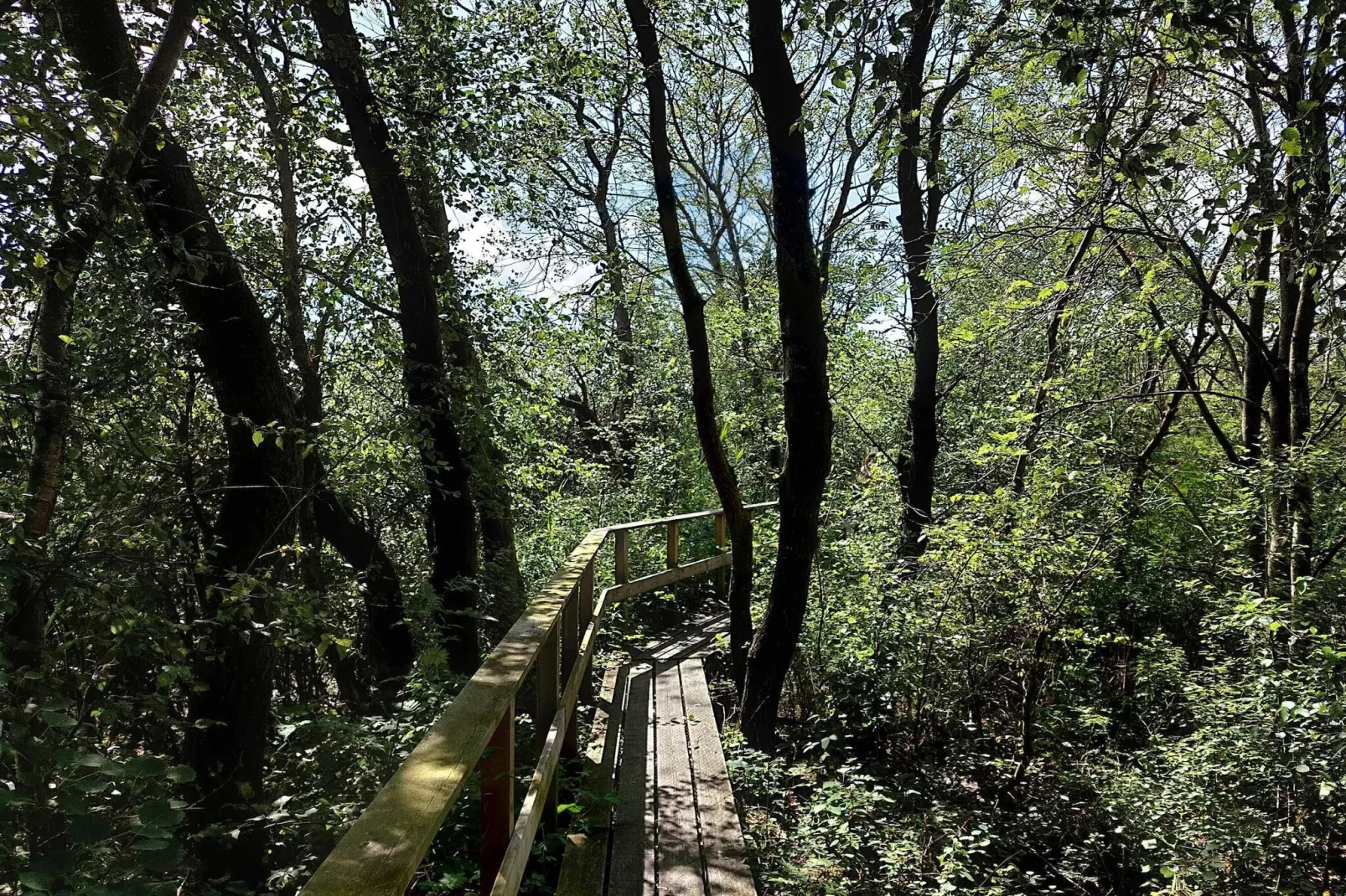 Maison de vacances pour 6 a Bredebro-Non tagué