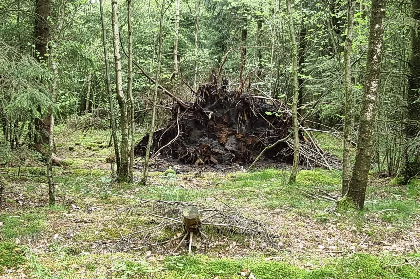 Helle Cottage-Oase in Silkeborg-By Traum-Nicht zugeordnet