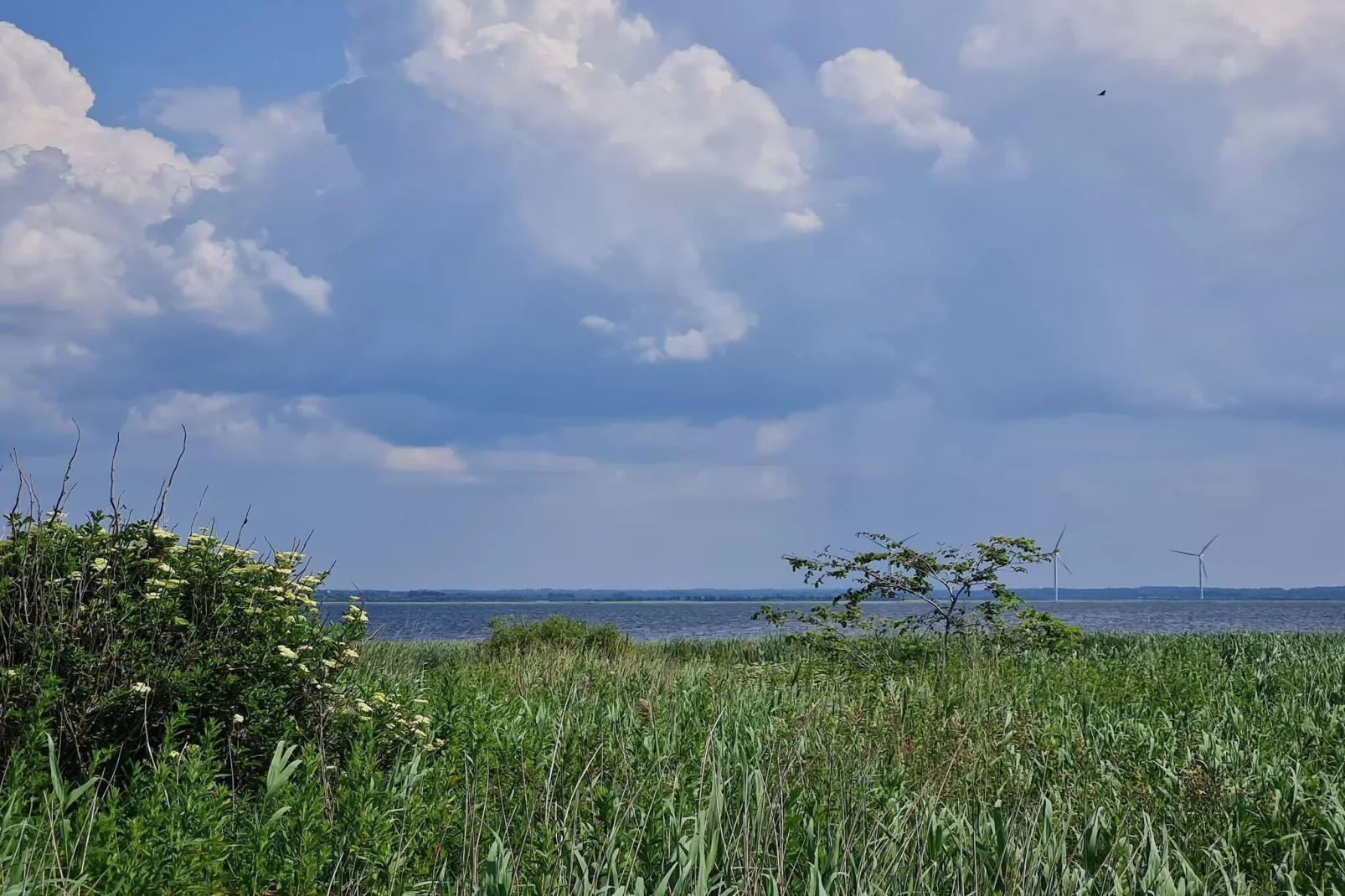 8 Personen Ferienhaus in Ulfborg-Nicht zugeordnet