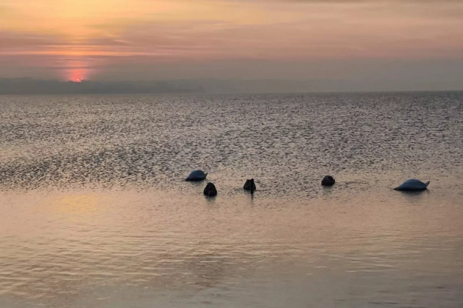 6 Personen Ferienhaus in Ærøskøbing-Wasserblick