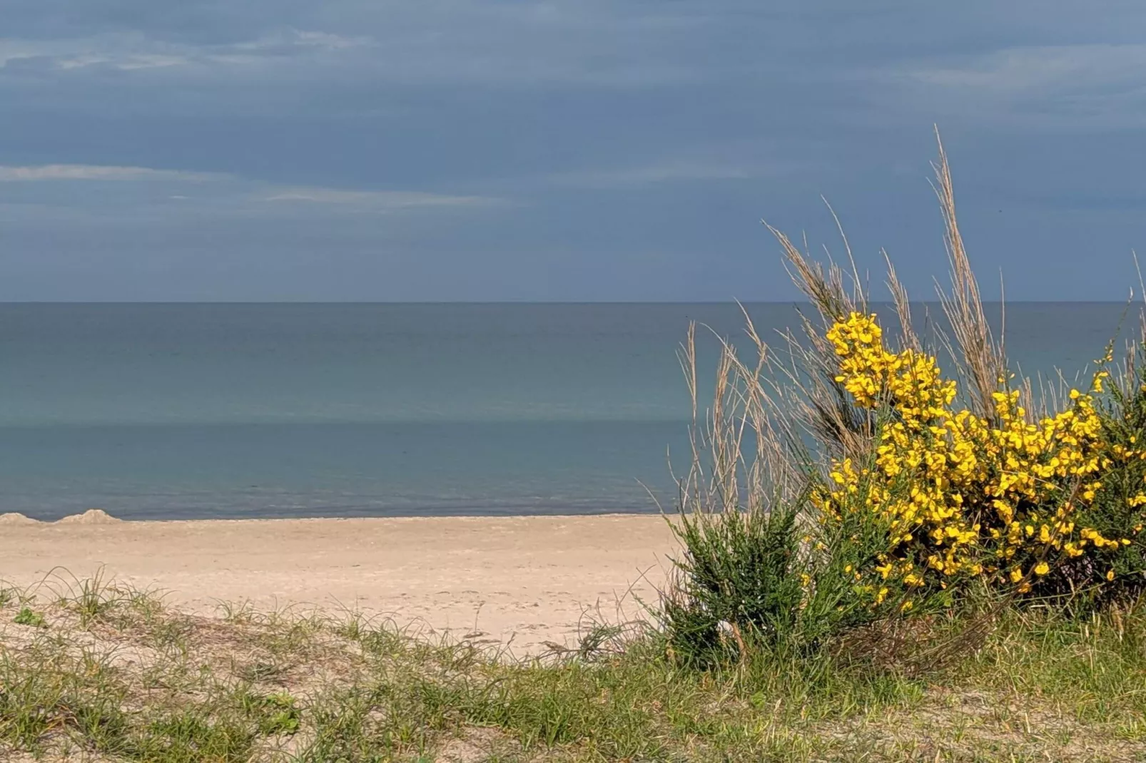 Maison de vacances pour 18 a Væggerløse-Vue sur l'eau