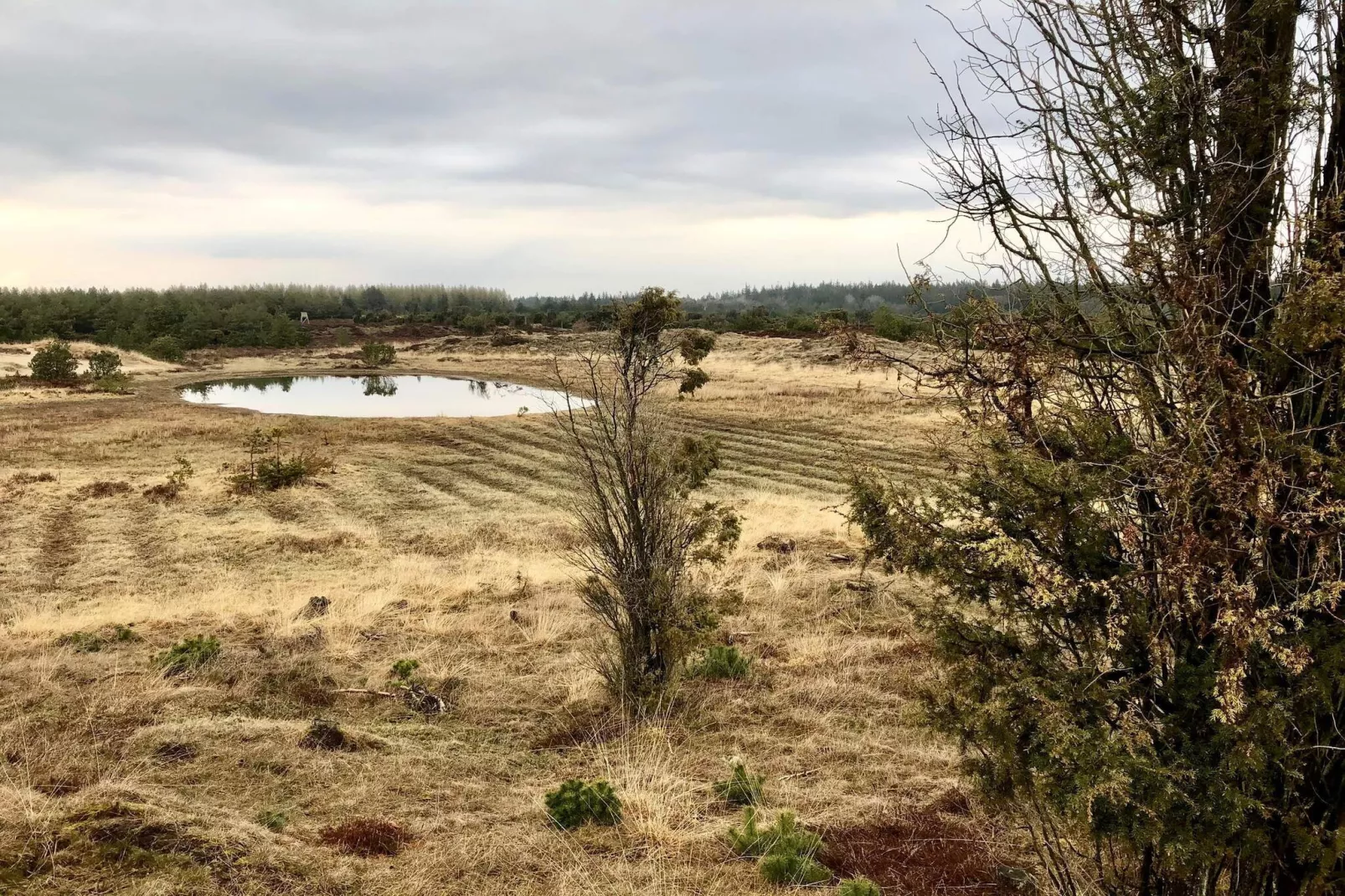Maison de vacances pour 5 a Grindsted-Vue sur l'eau