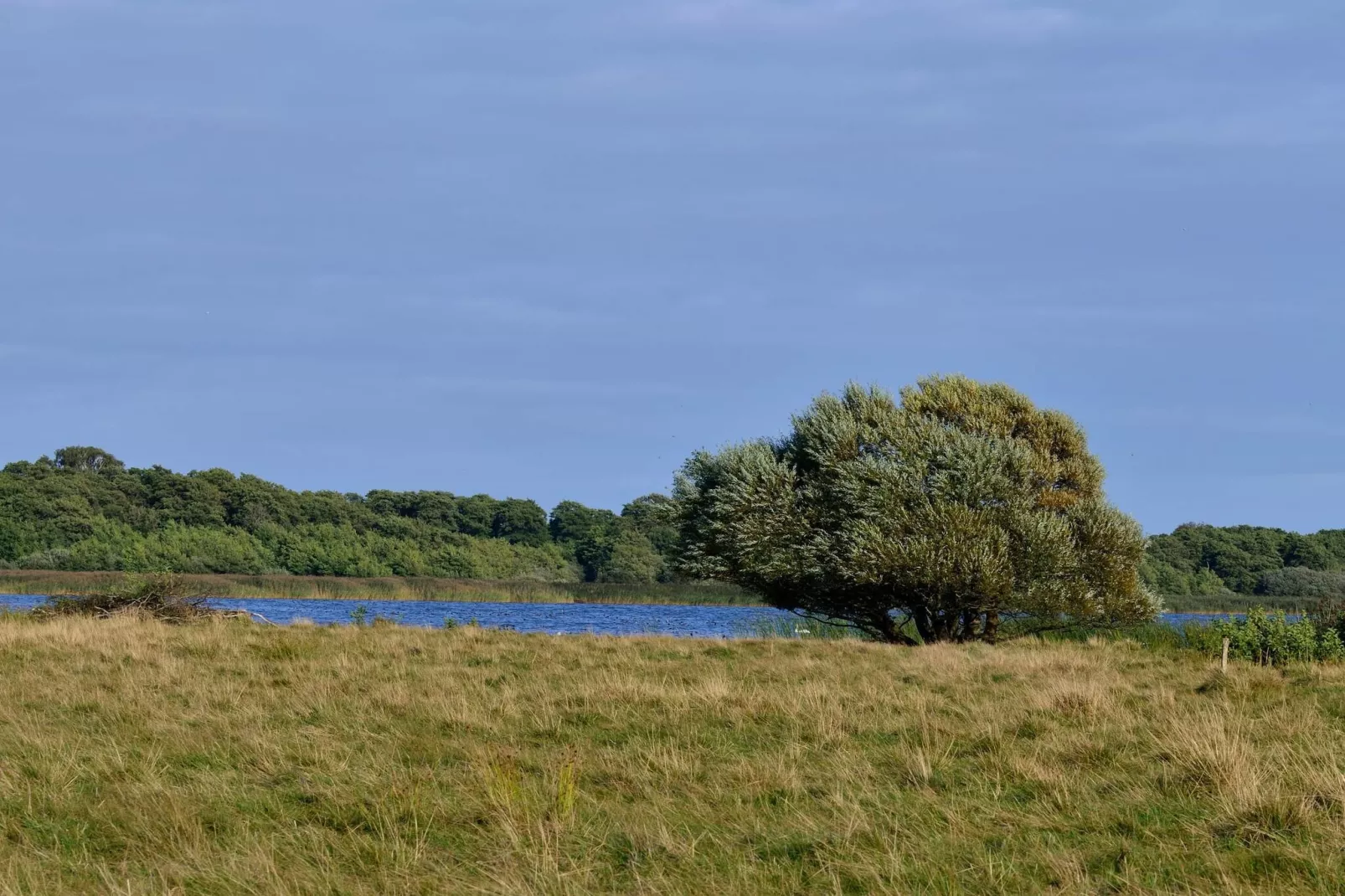 Sonniges Hugelcottage-By Traum-Wasserblick