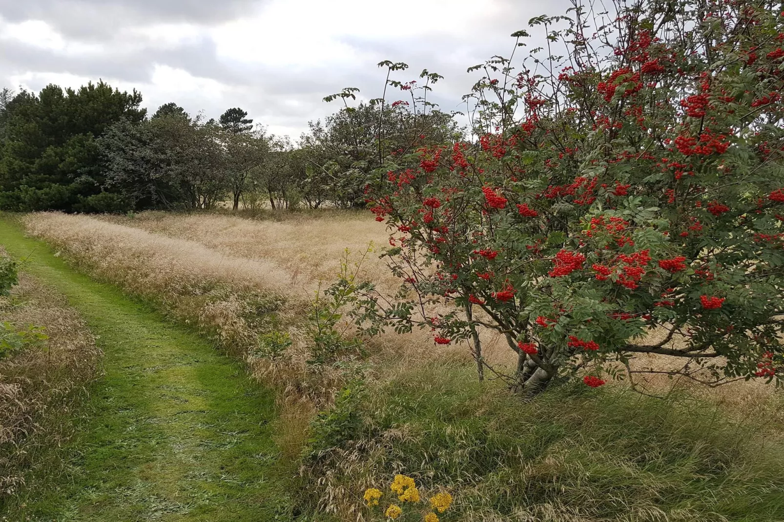 6 person holiday home in Fjerritslev - Untagged