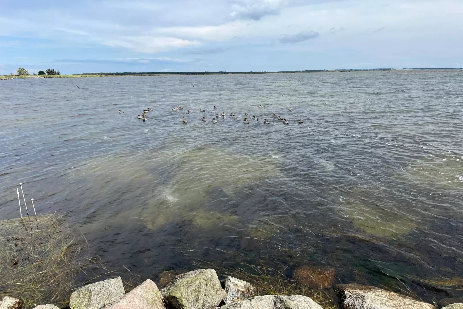 Maison de vacances pour 10 a Stege-Vue sur l'eau