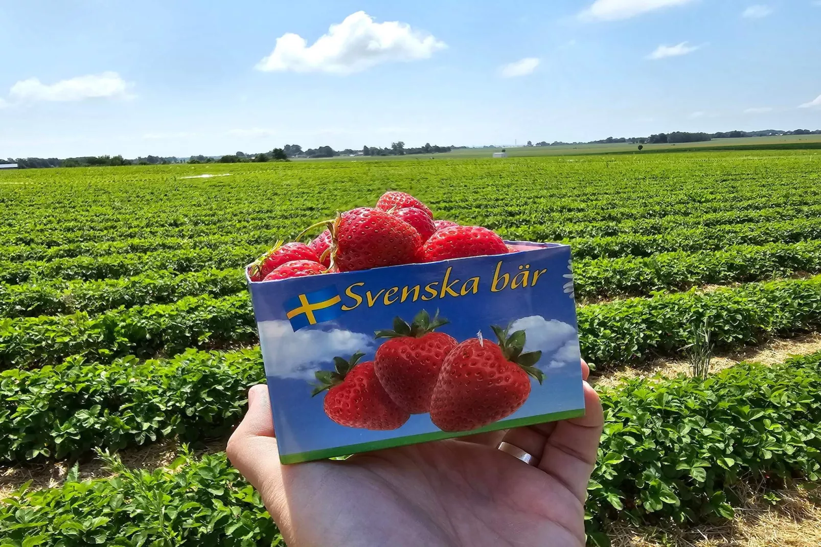 Maison de vacances pour 4 a LÖDDEKÖPINGE-Non tagué