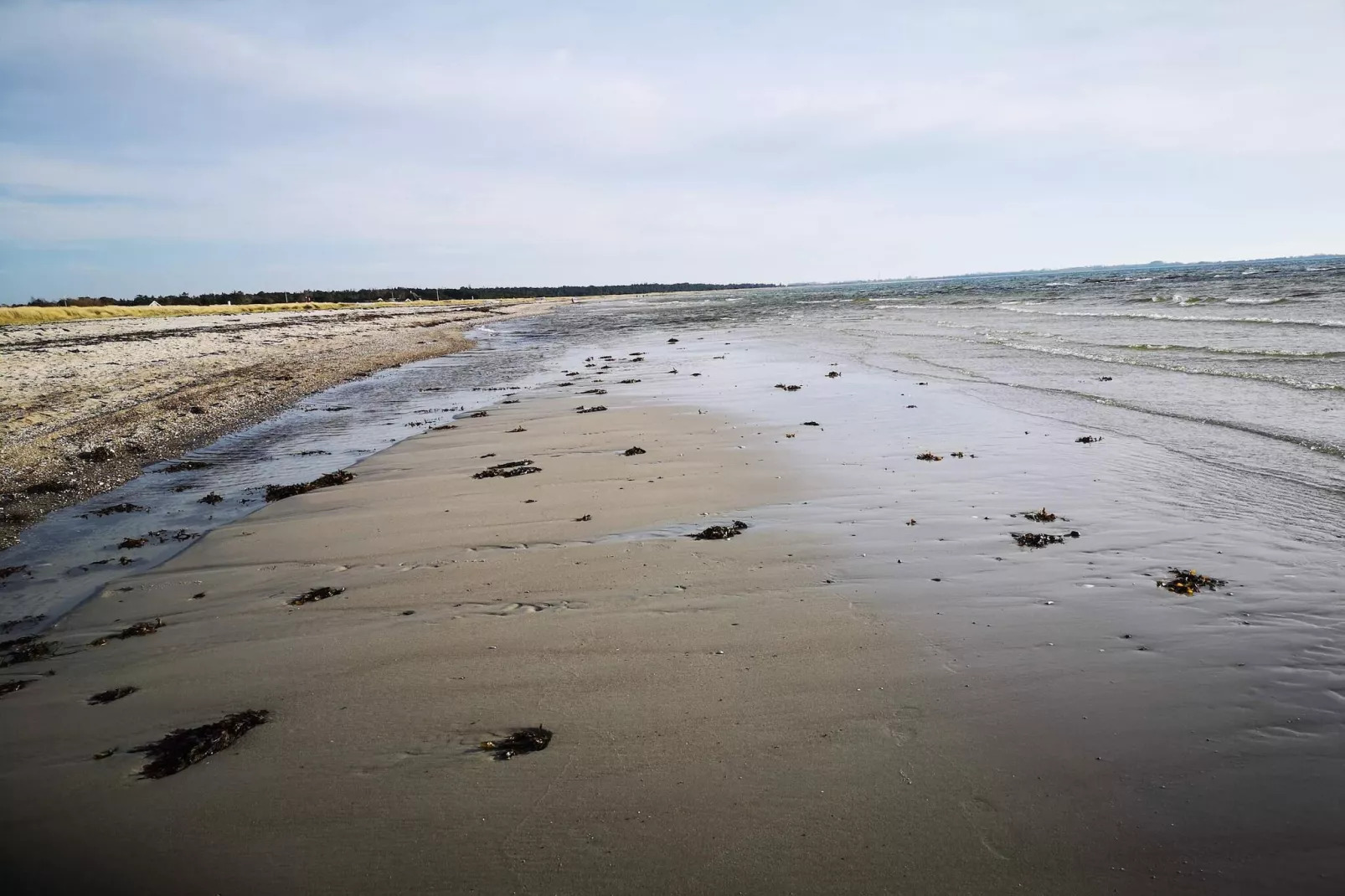 Maison de vacances pour 4 a Store Fuglede-Vue sur l'eau