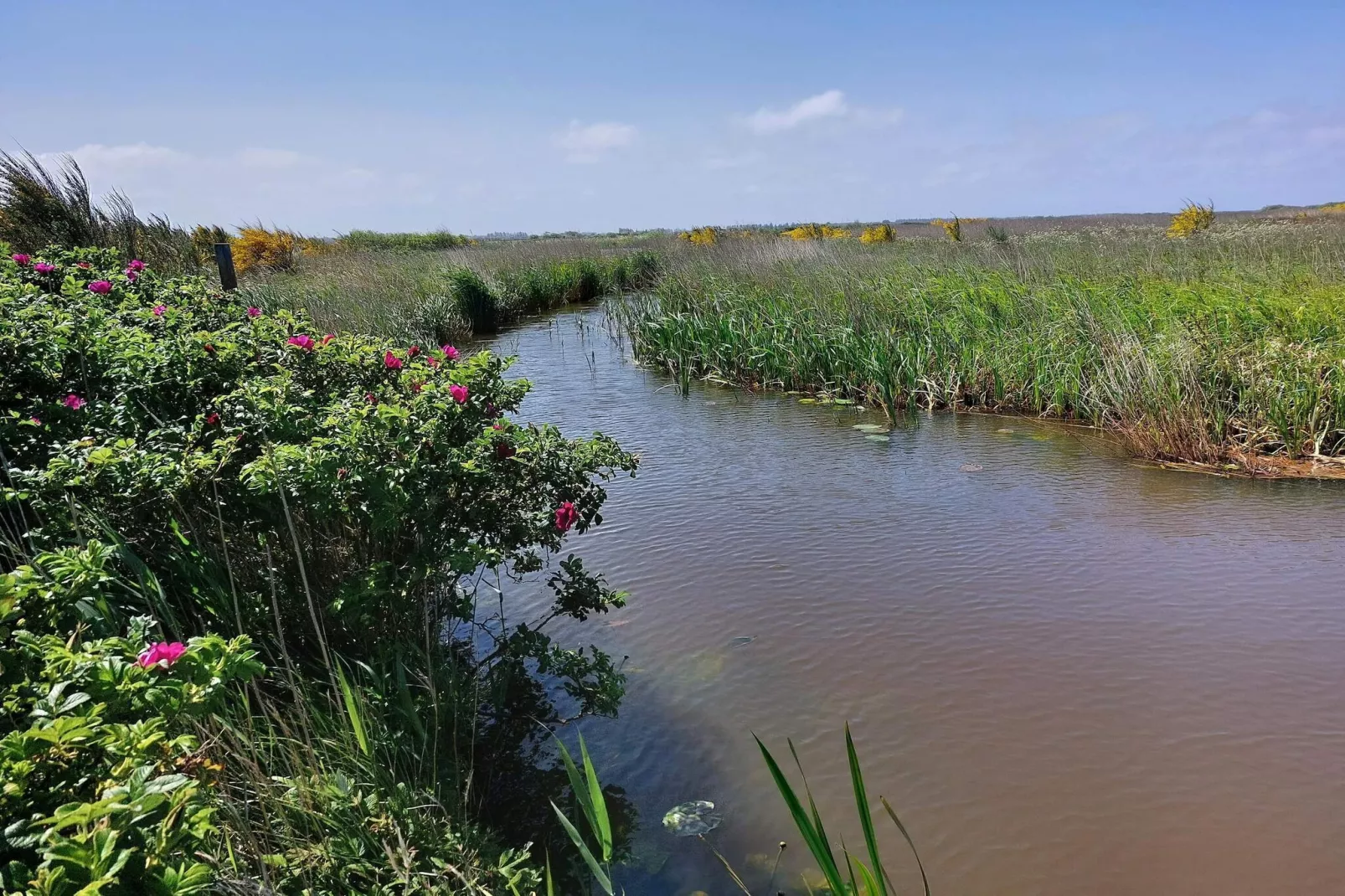 8 person holiday home in Hemmet-Water view