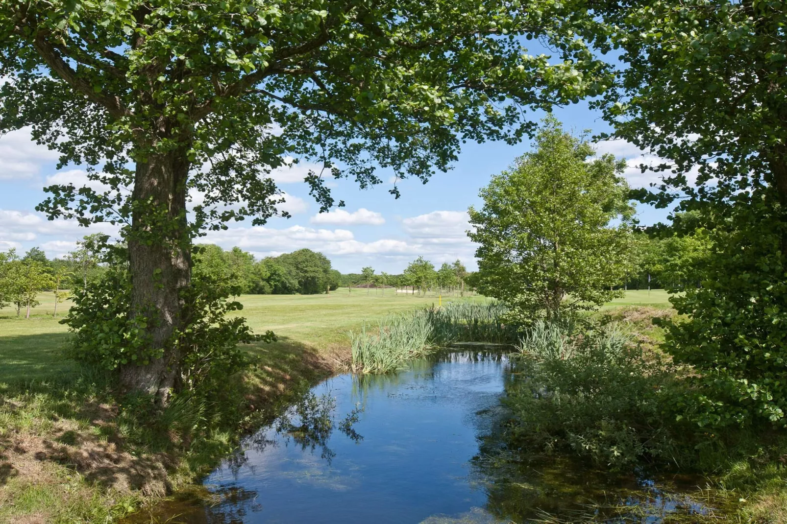 4 person holiday home in Børkop-By Traum-Water view