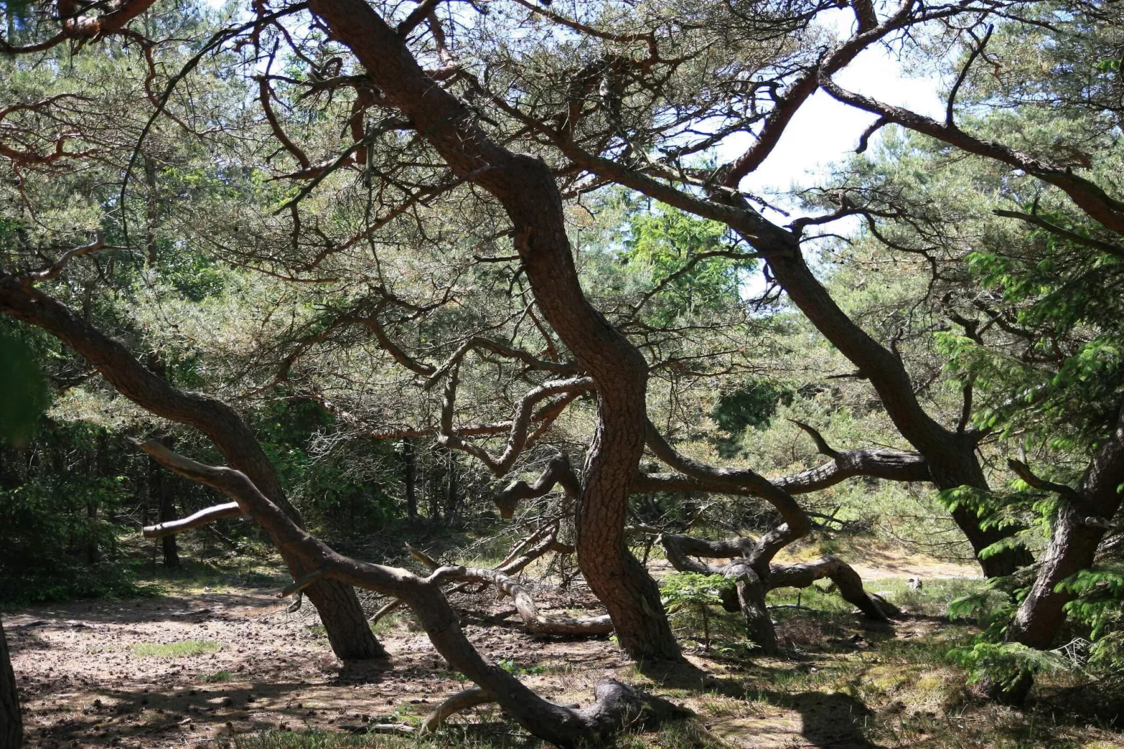 8 person holiday home in Melby-By Traum-Untagged