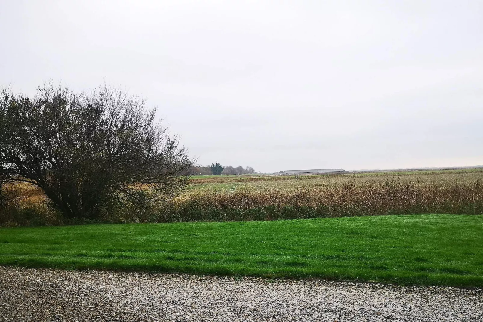 5 person holiday home in Højer-By Traum-Untagged