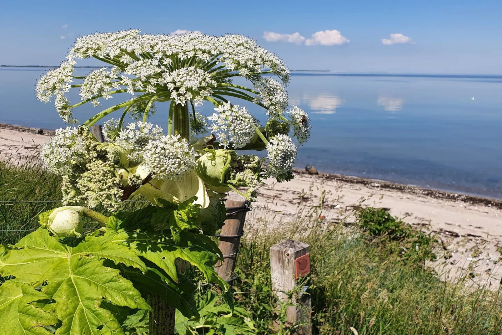 4 Personen Ferienhaus in Nykøbing M-By Traum-Wasserblick