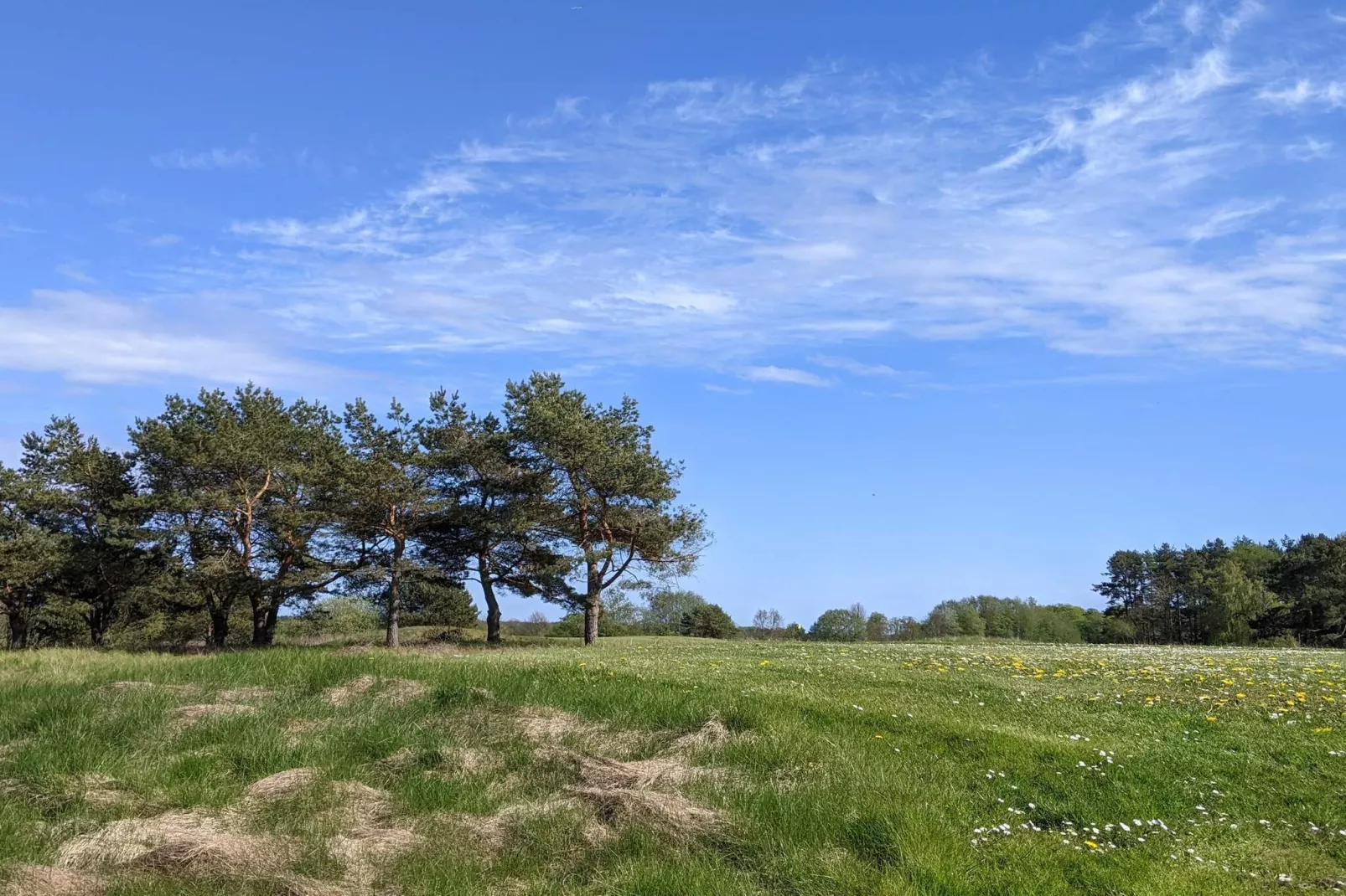 6 person holiday home in DEGEBERGA-By Traum-Untagged