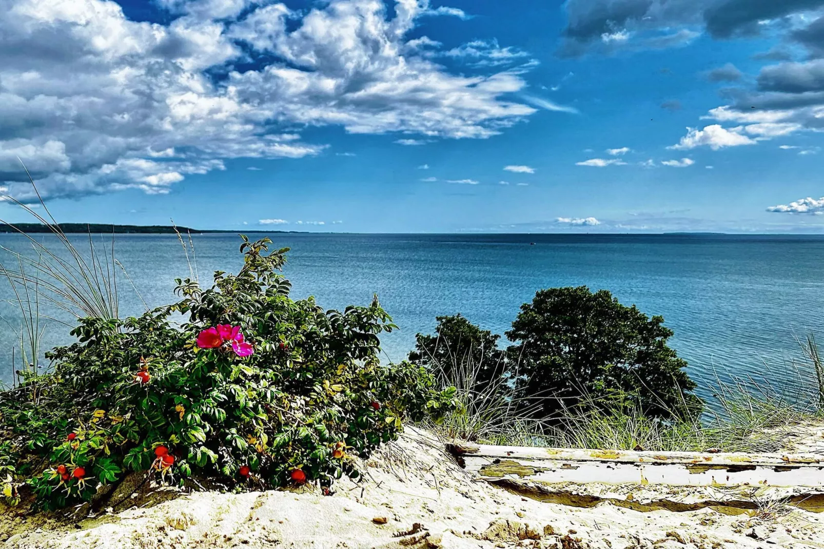Family-friendly Beach House - By Traum Ferienwohnungen-Water view