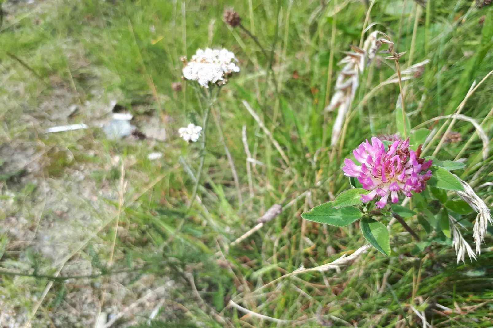 Luxury Retreat by Ho Bay - By Traum Ferienwohnungen-Untagged