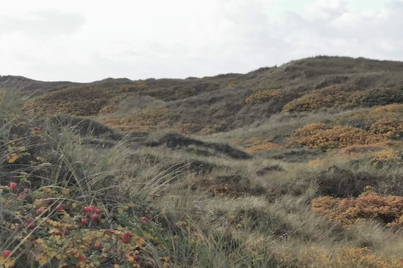 7 Personen Ferienhaus in Henne-By Traum-Nicht zugeordnet
