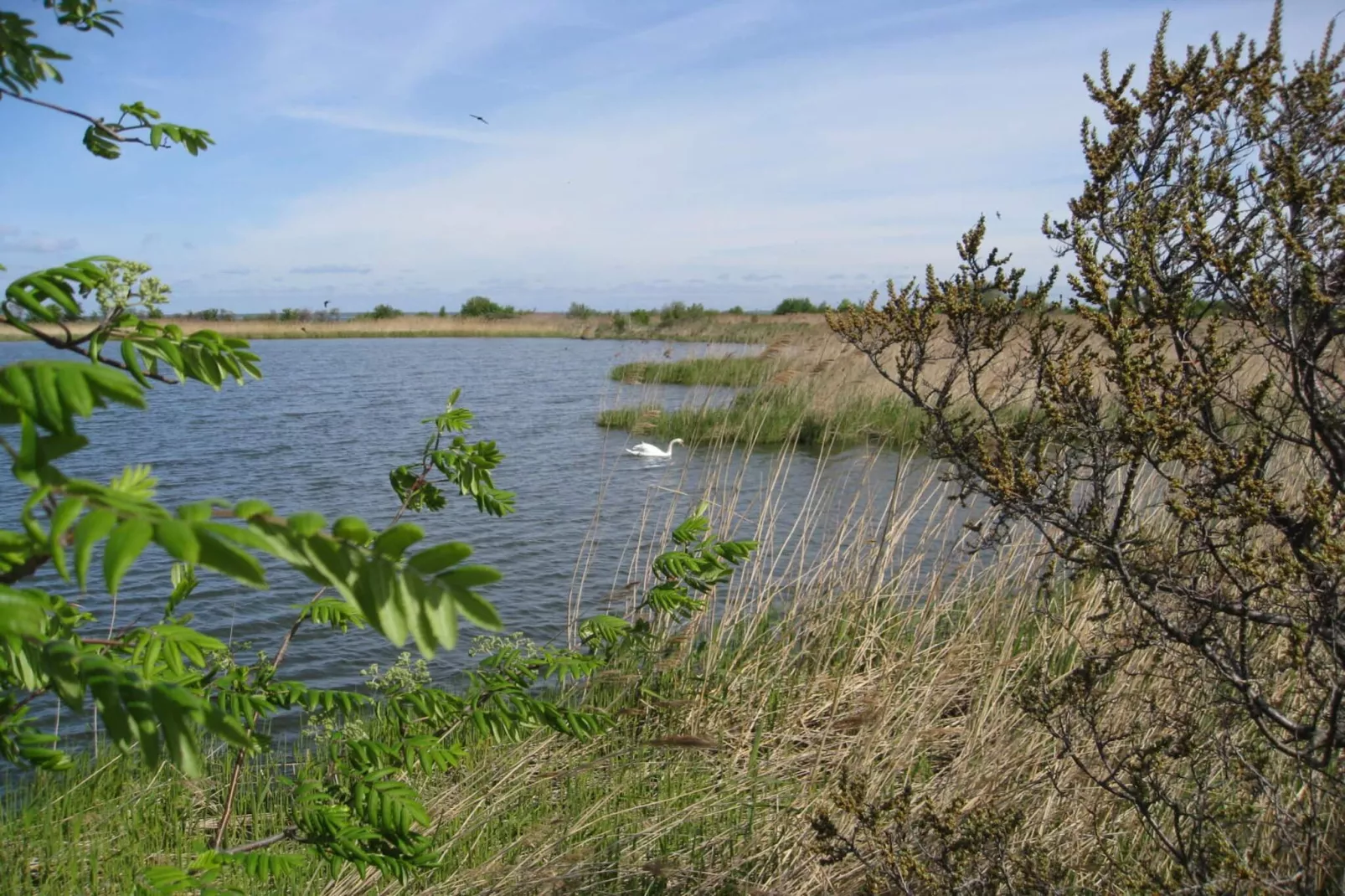 Maison de vacances pour 7 a Stege-By Traum-Vue sur l'eau