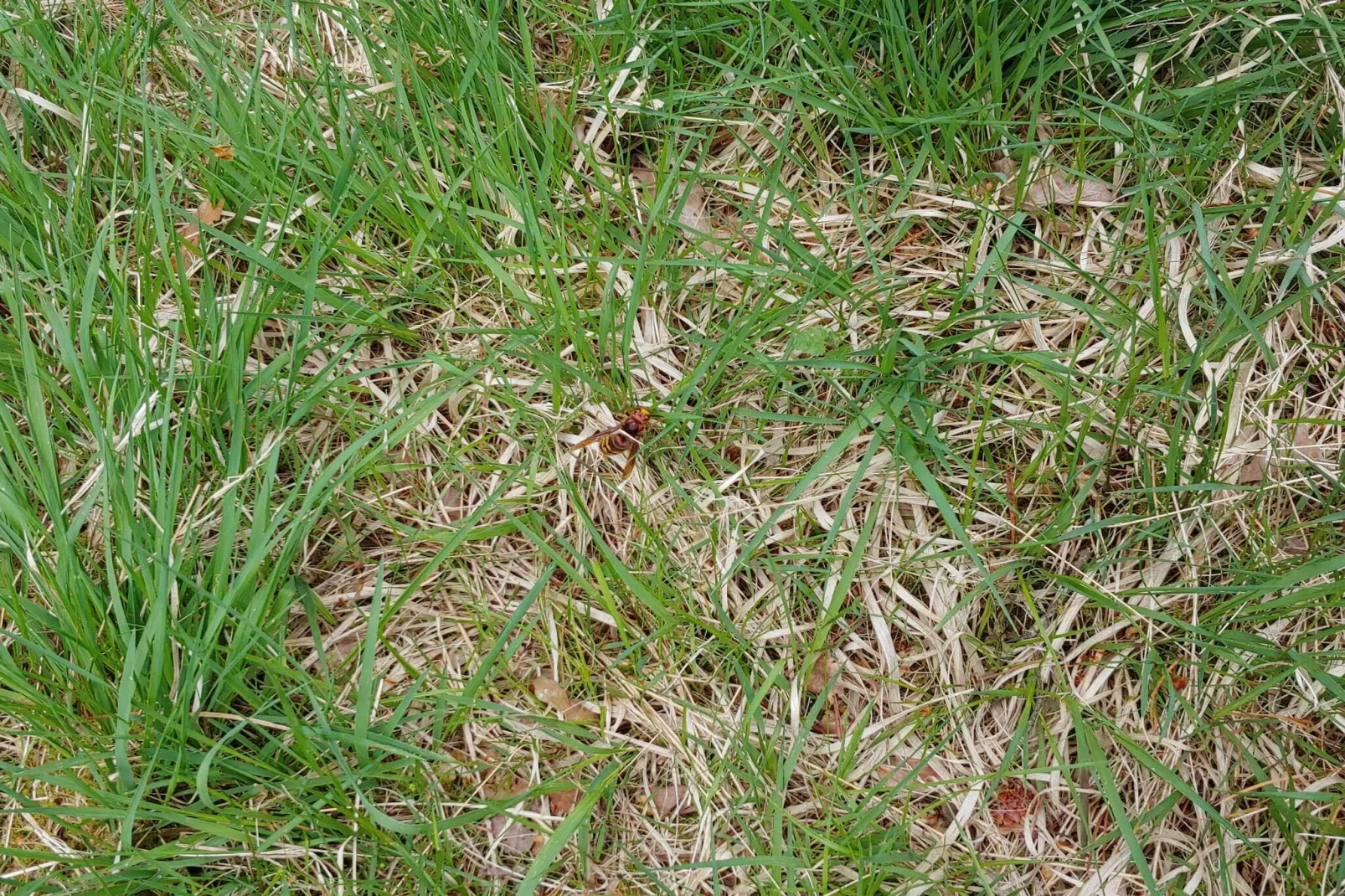 Luxurioses Refugium mit Pool -- By Traum Ferienwohnungen