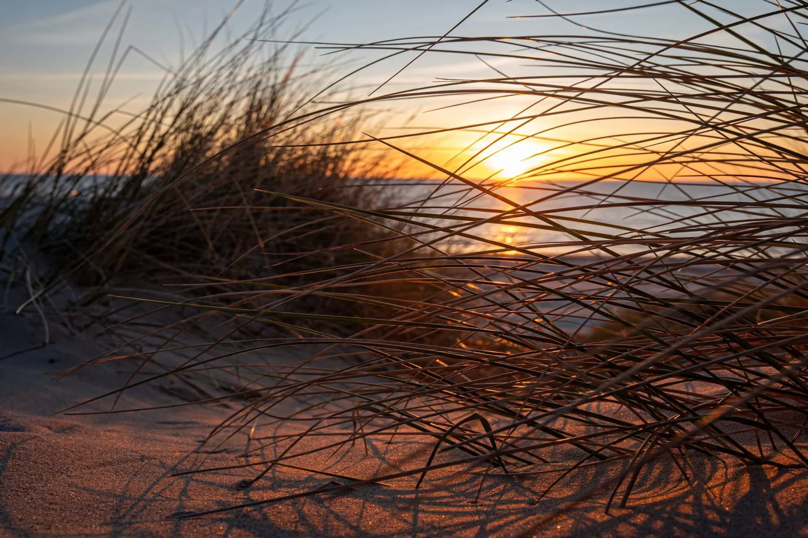 Retraite de luxe près de la plage -- By Traum Ferienwohnungen-Non tagué