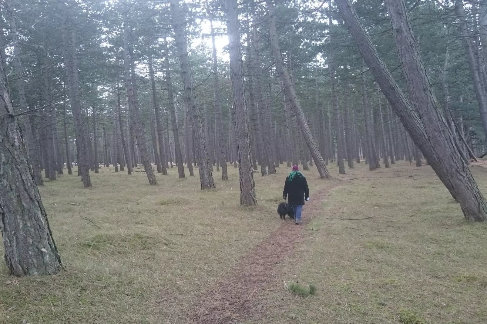 Seaside Escape in Praesto - By Traum Ferienwohnungen-Untagged