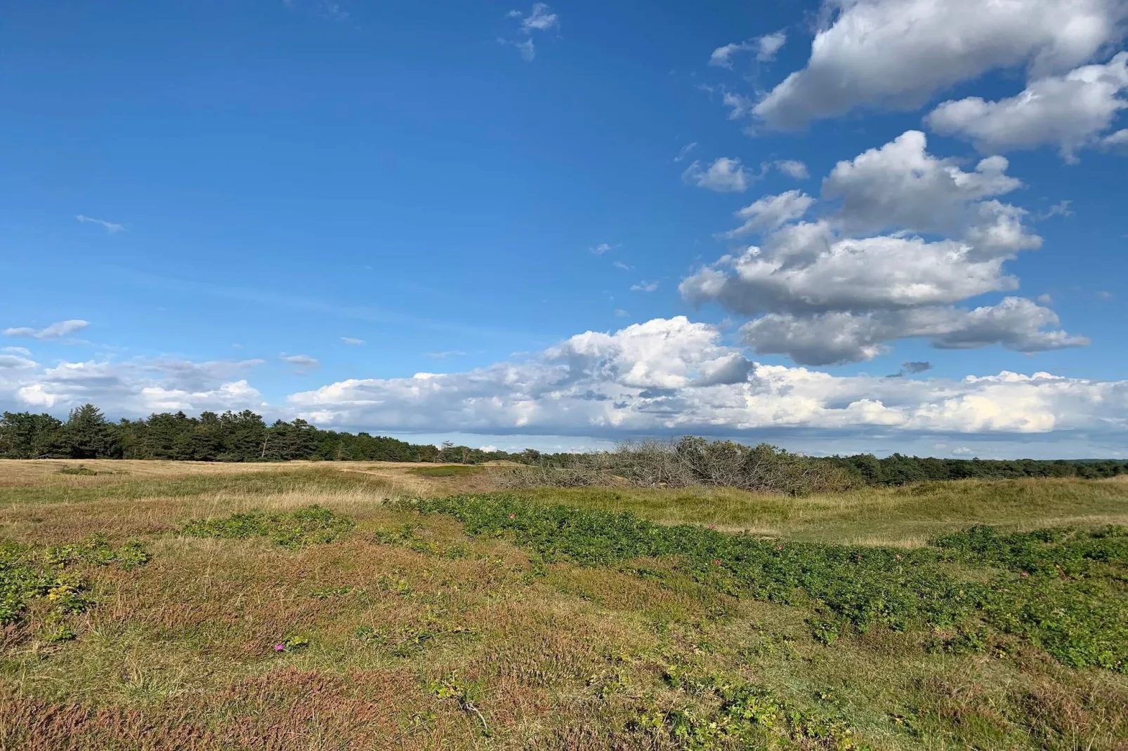 Luxury Retreat with Pool - By Traum Ferienwohnungen-Untagged