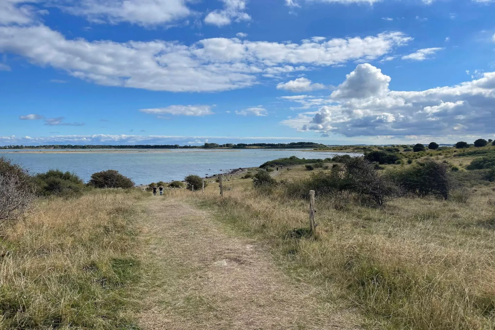4 Personen Ferienhaus in Martofte-By Traum-Wasserblick