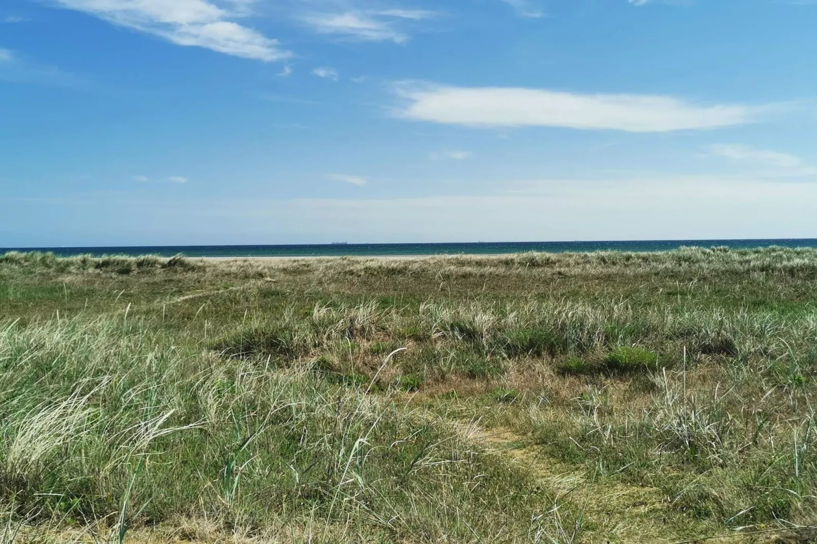 5 person holiday home in Strandby-By Traum-Untagged