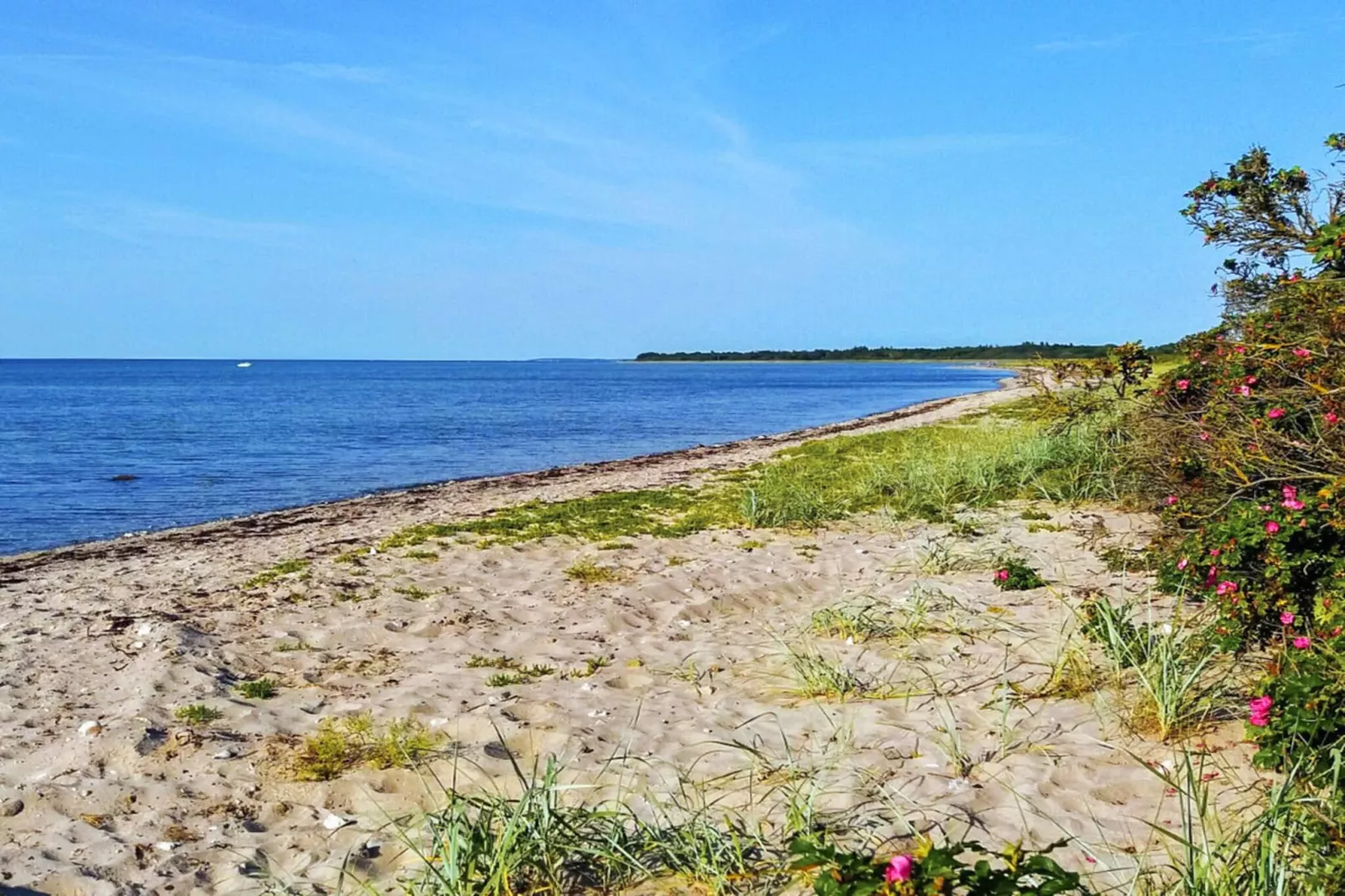 Ruhiger Ruckzug in Bogense -- By Traum Ferienwohnungen-Wasserblick