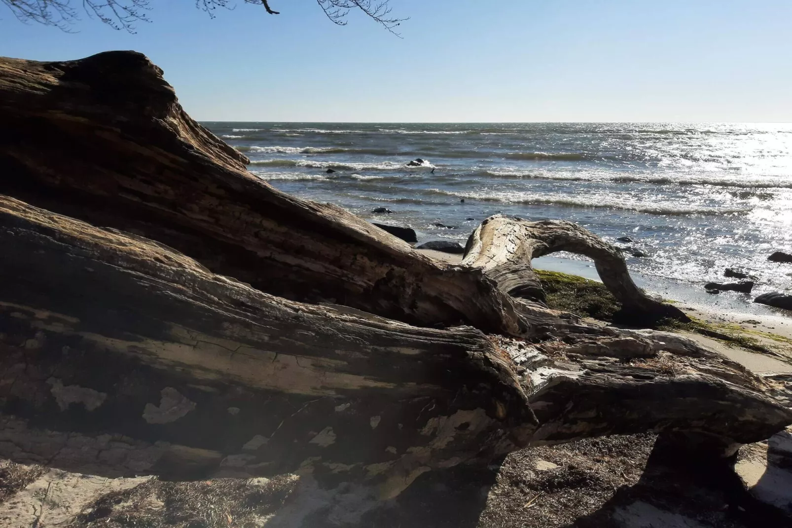 4 Personen Ferienhaus in Faxe Ladeplads-By Traum-Wasserblick