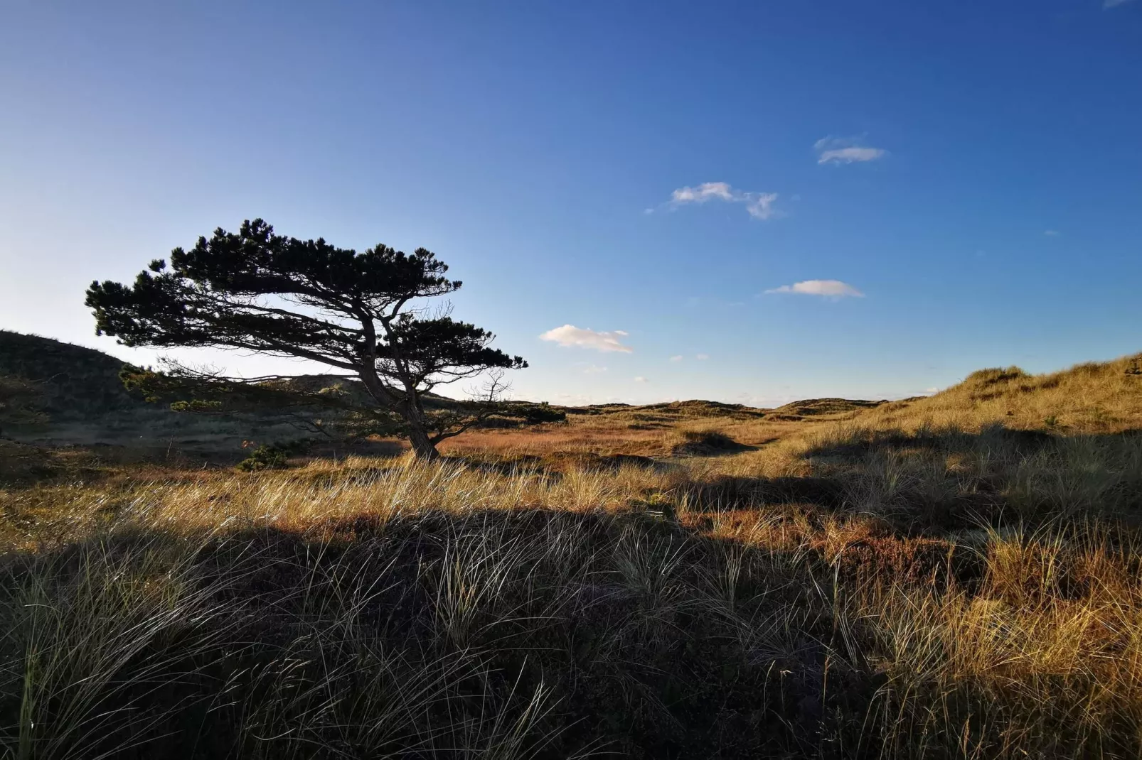 6 person holiday home in Ulfborg-By Traum-Untagged