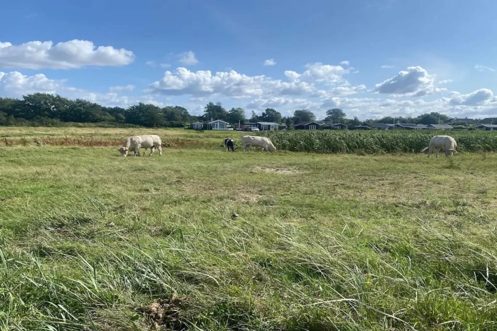 Retraite de luxe avec piscine -- By Traum Ferienwohnungen-Non tagué