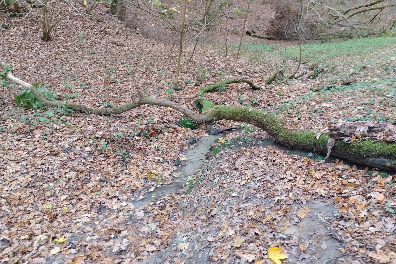 8 person holiday home in Brovst-By Traum-Untagged