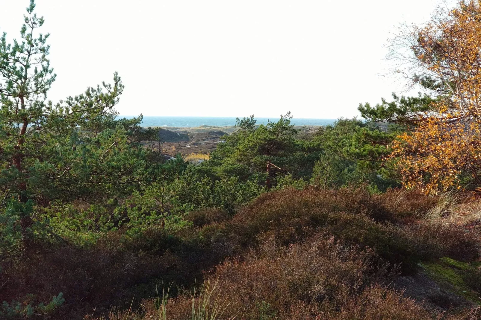 Modern Cottage near Beach - By Traum Ferienwohnungen-Untagged