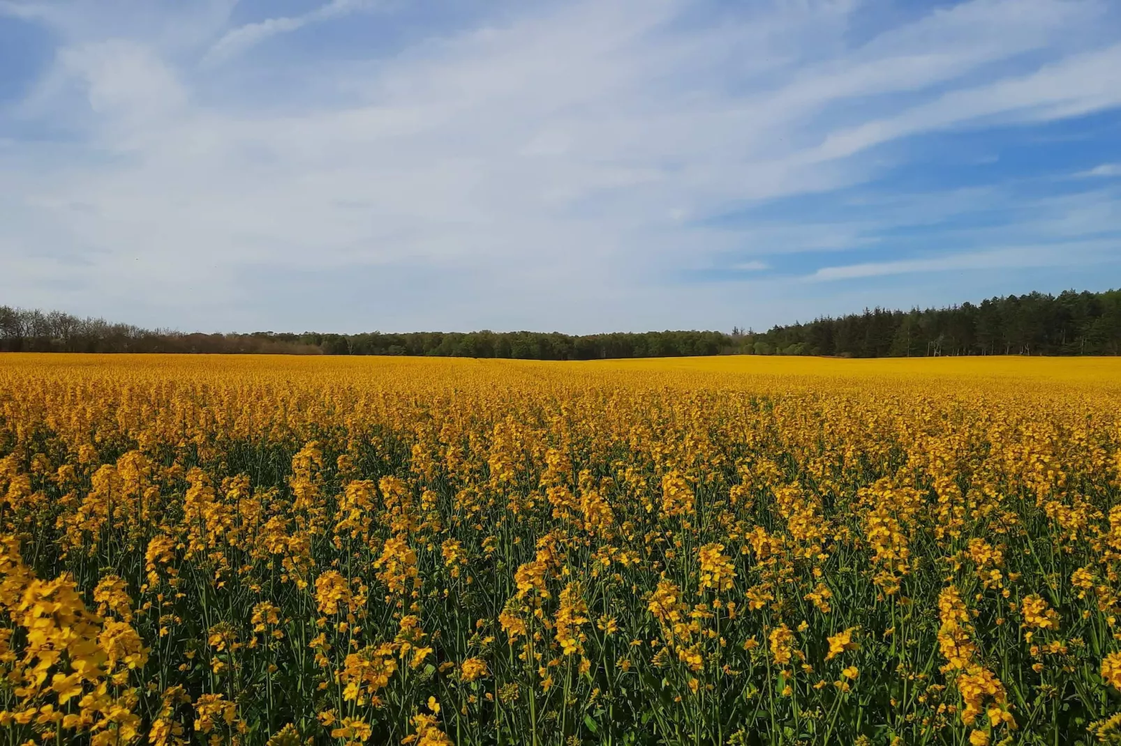 Maison de vacances pour 8 a Glesborg-By Traum-Non tagué