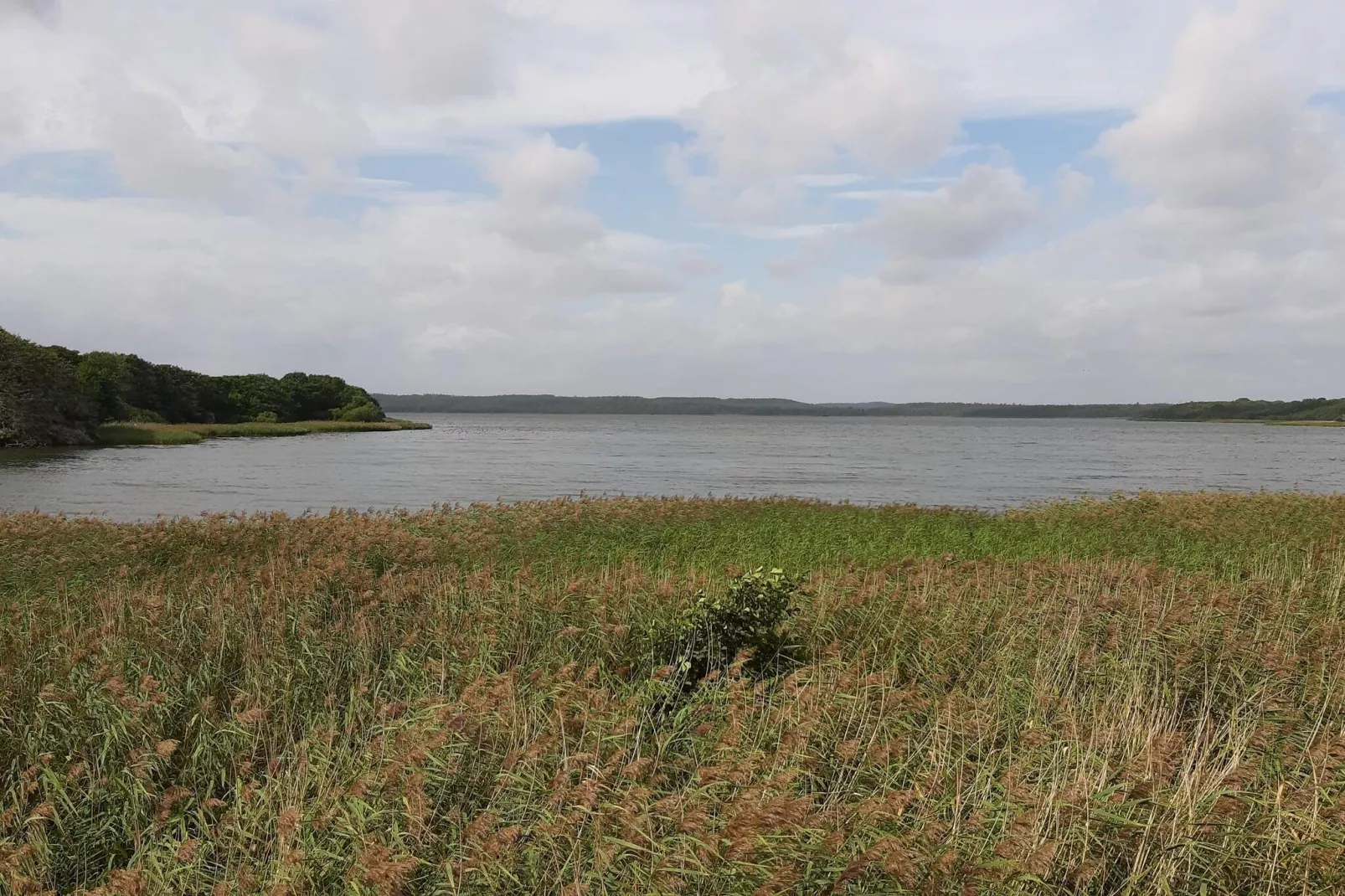 8 person holiday home in Ebeltoft-By Traum-Water view