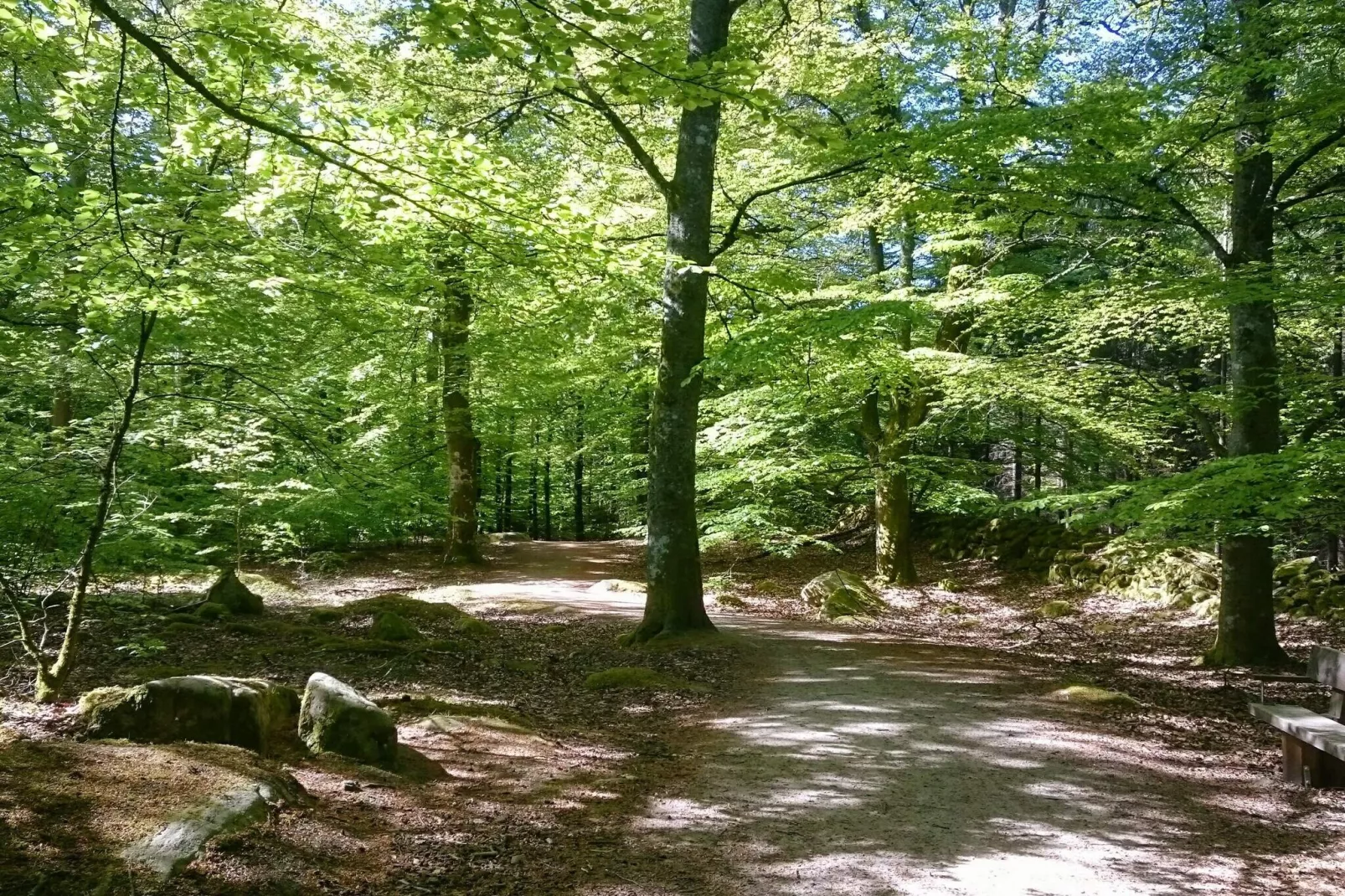 4 person holiday home in EVERÖD-By Traum-Untagged