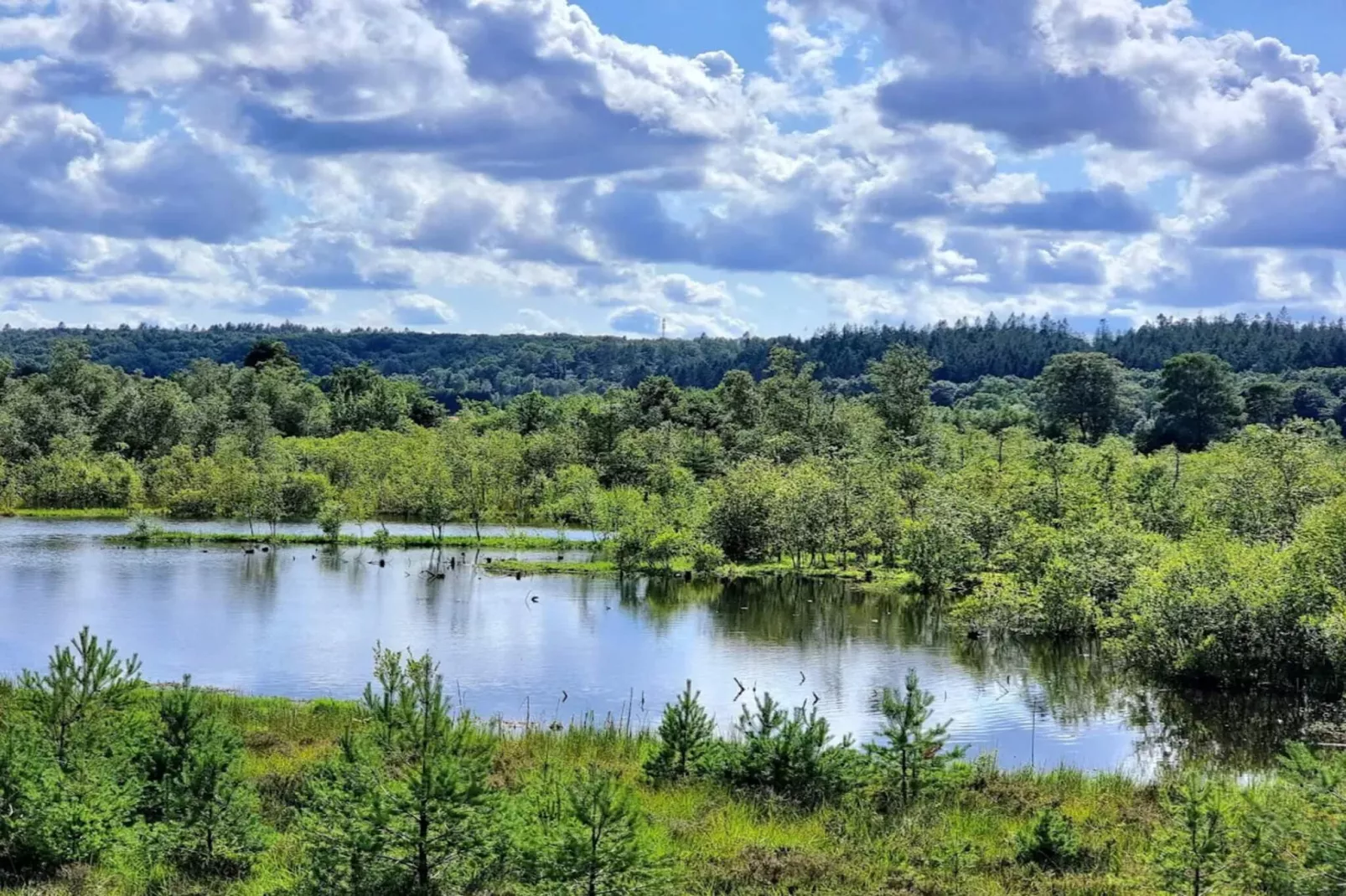 Maison de vacances pour 5 a Silkeborg-By Traum-Vue sur l'eau
