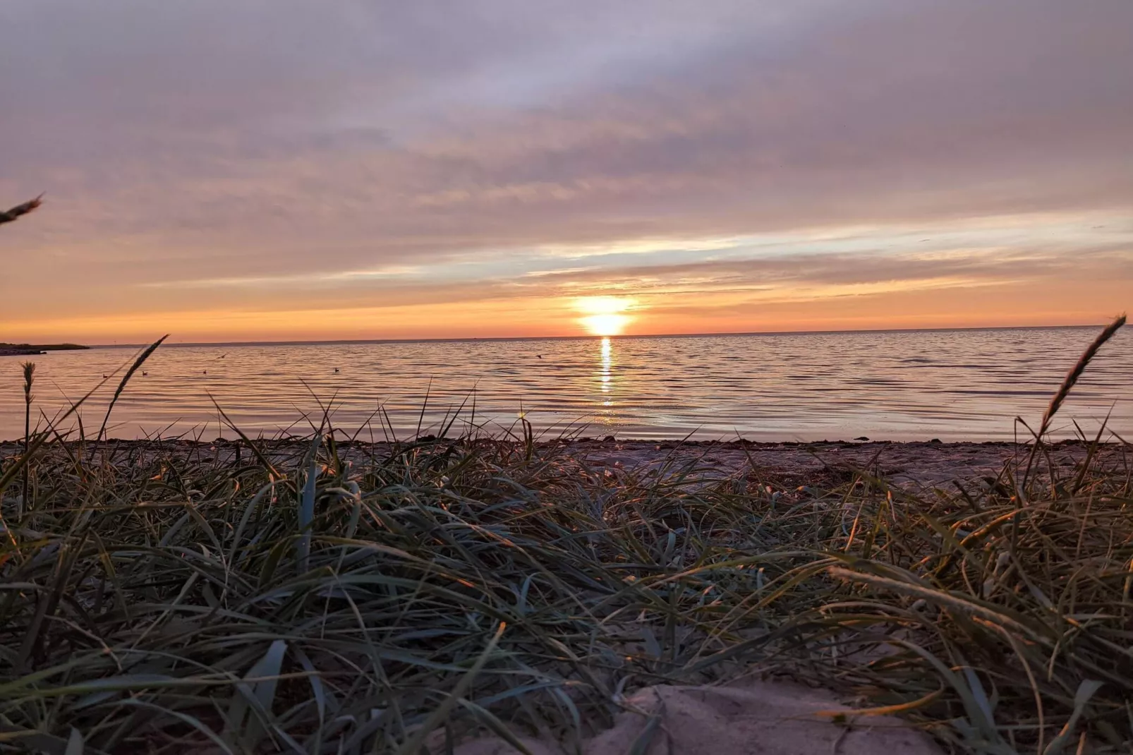 Maison de vacances pour 2 a Tarm-By Traum-Vue sur l'eau
