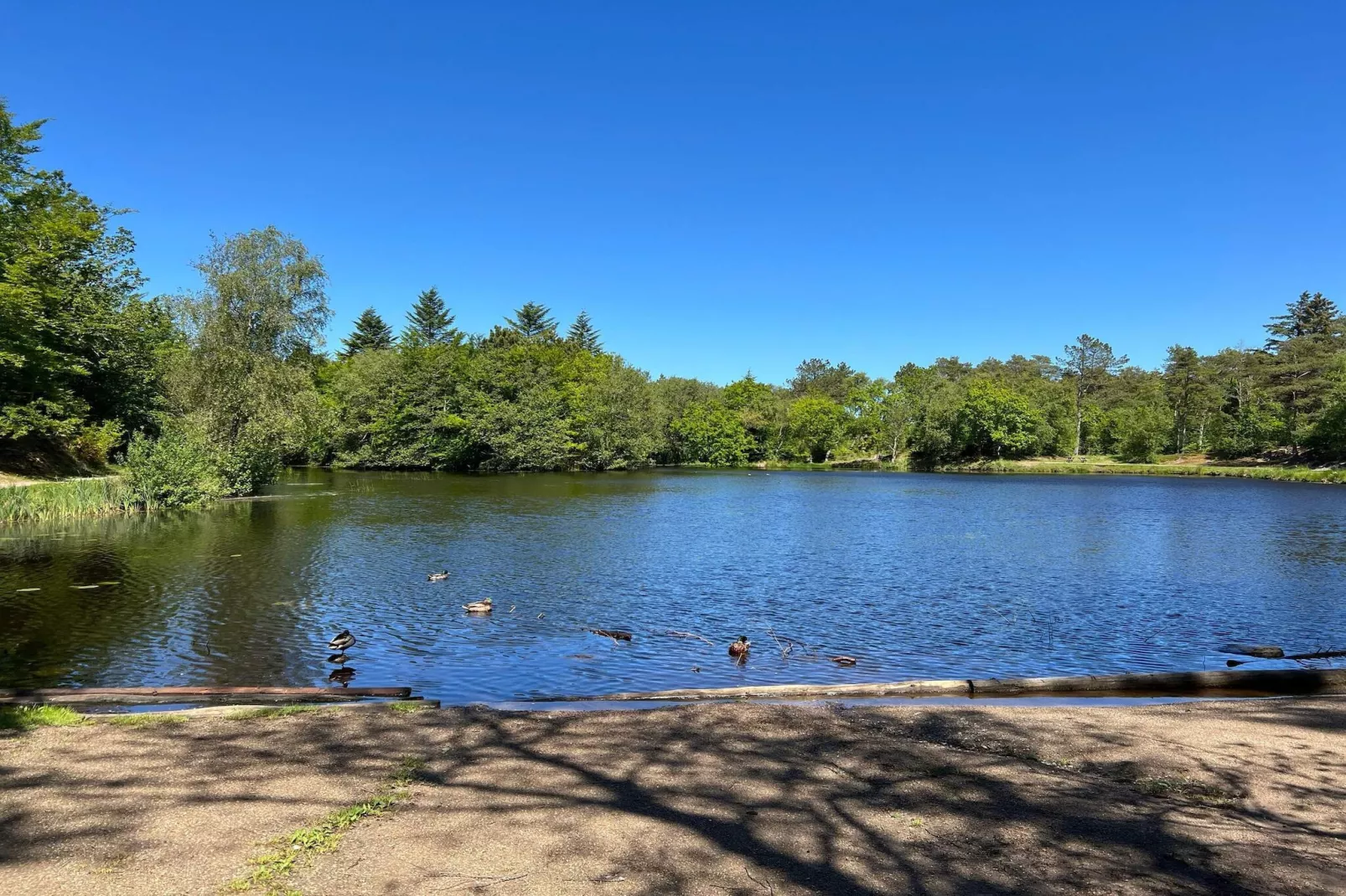 Maison de vacances pour 6 a Ålbæk-By Traum