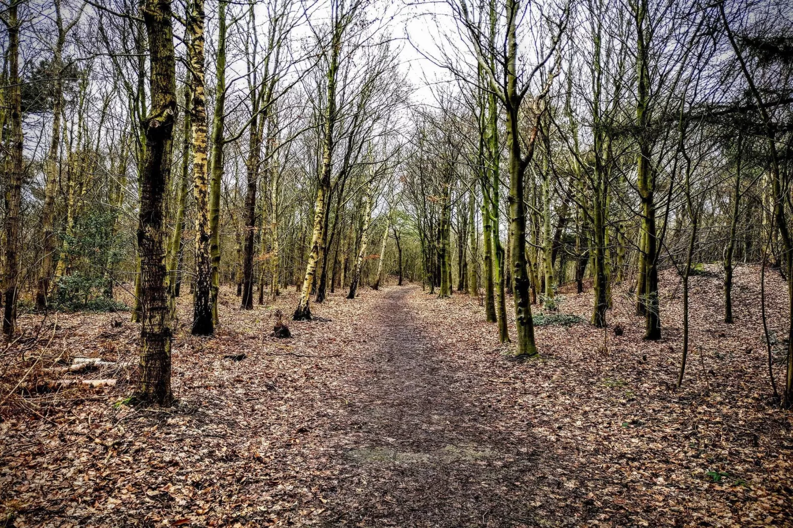5 Personen Ferienhaus in Esbjerg V-By Traum-Nicht zugeordnet