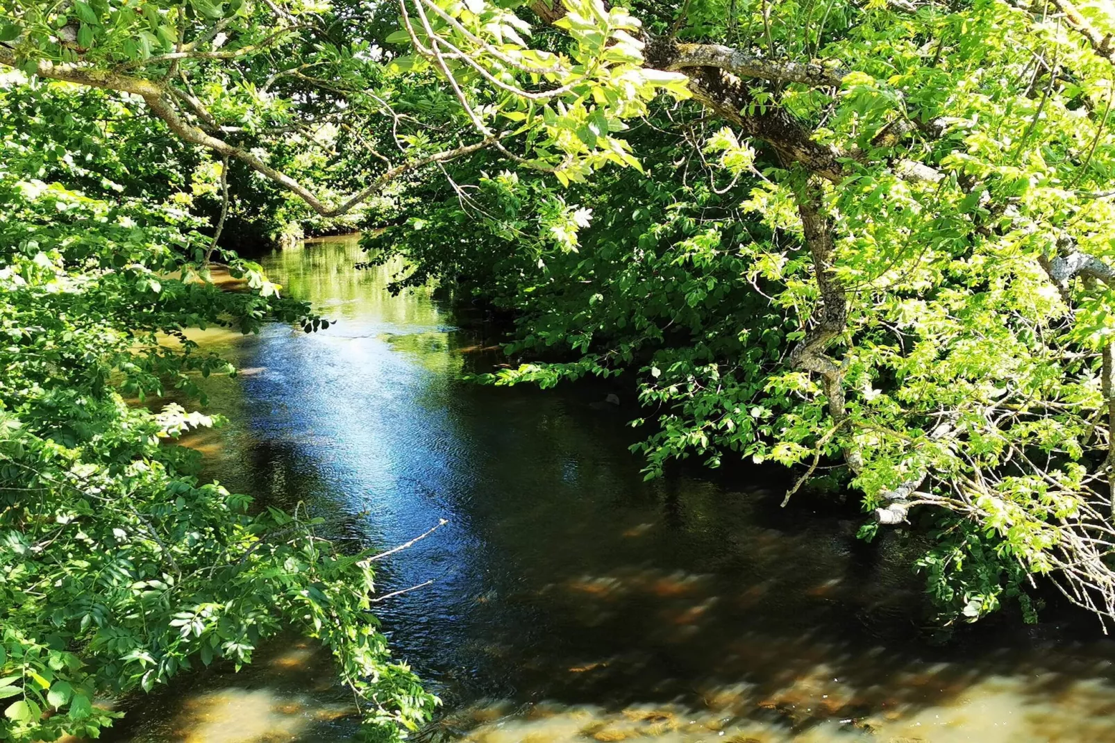 4 Personen Ferienhaus in Sæby-By Traum-Wasserblick