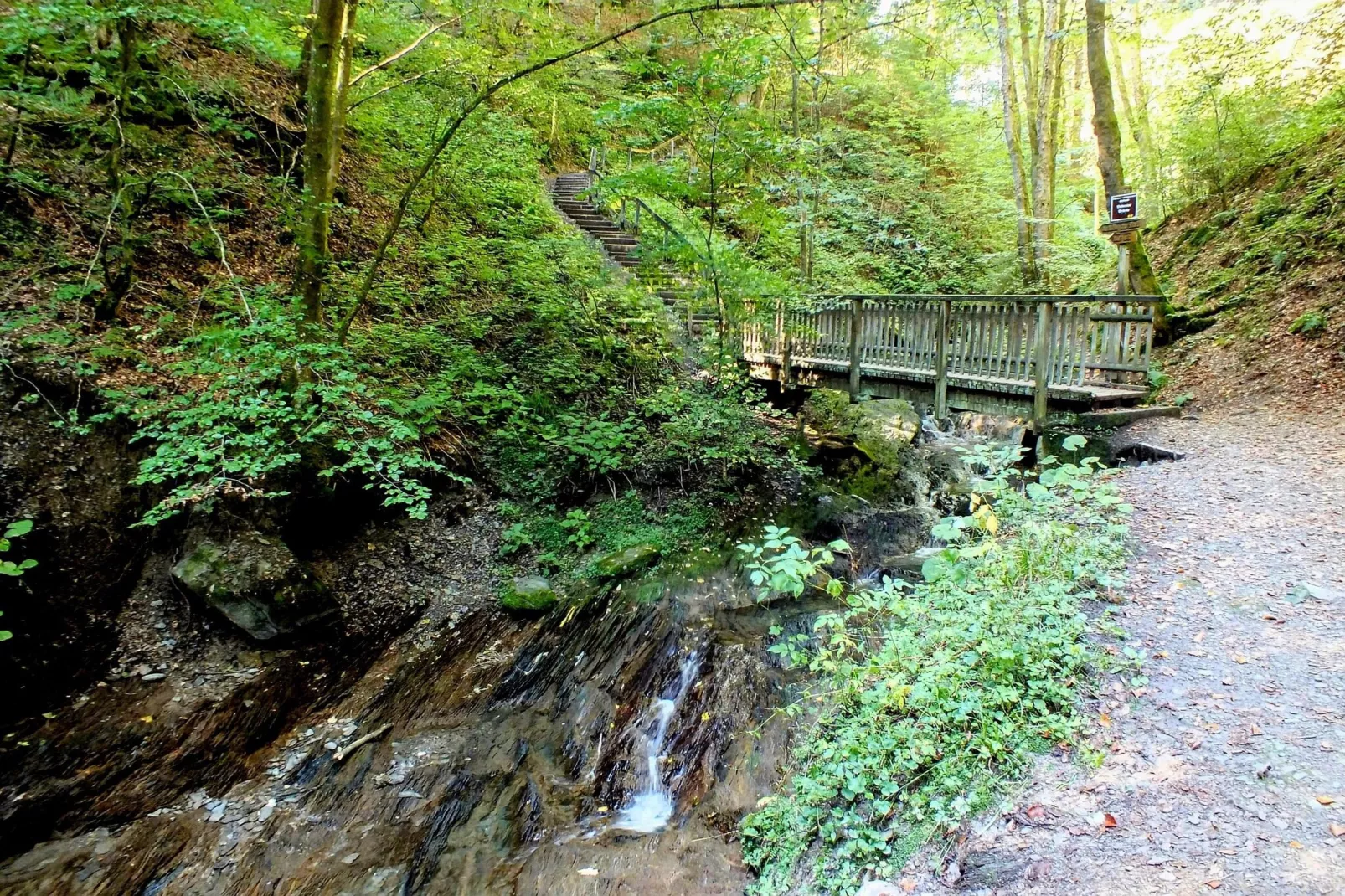 Am Waltenberg 70-MS-Gebiete Sommer 5 km