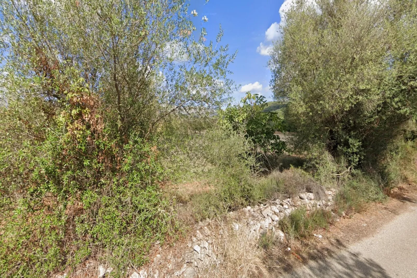 Can Serra-Areas within 5km in summer