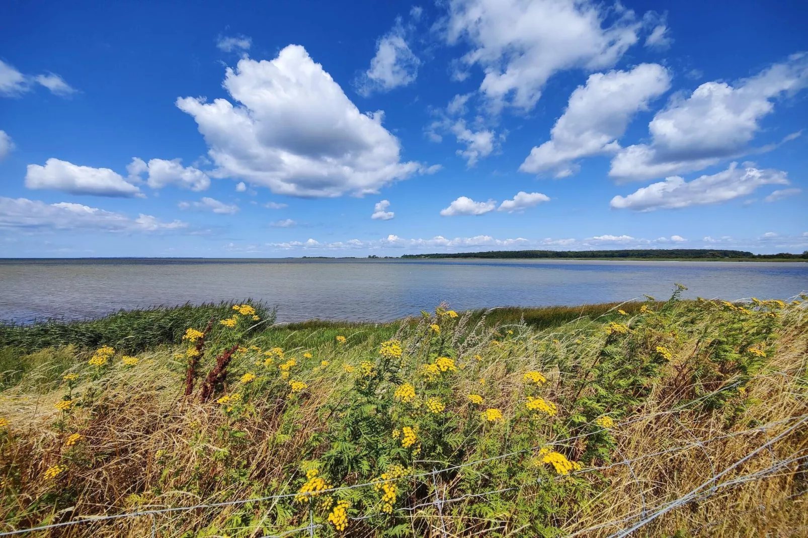 Gemütliches Ferienhaus mit Whirlpool-Wasserblick