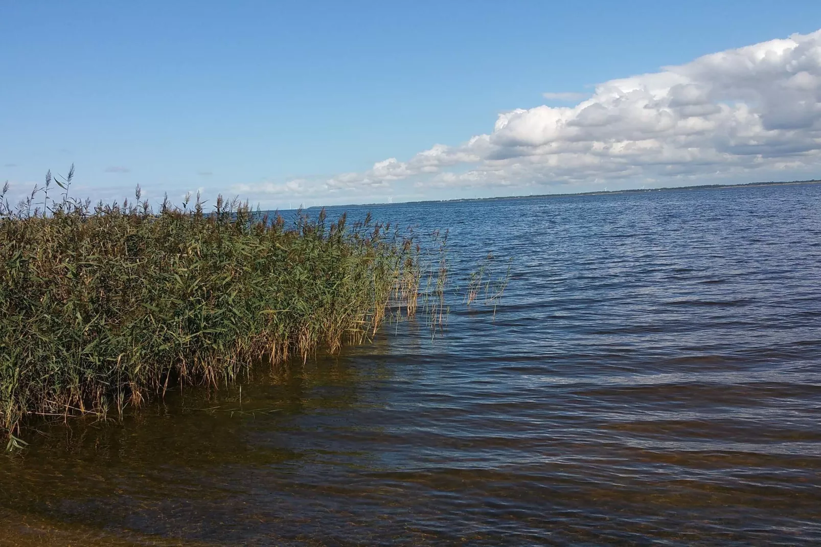 Idyllic Nature Retreat - By Traum Ferienwohnungen-Water view