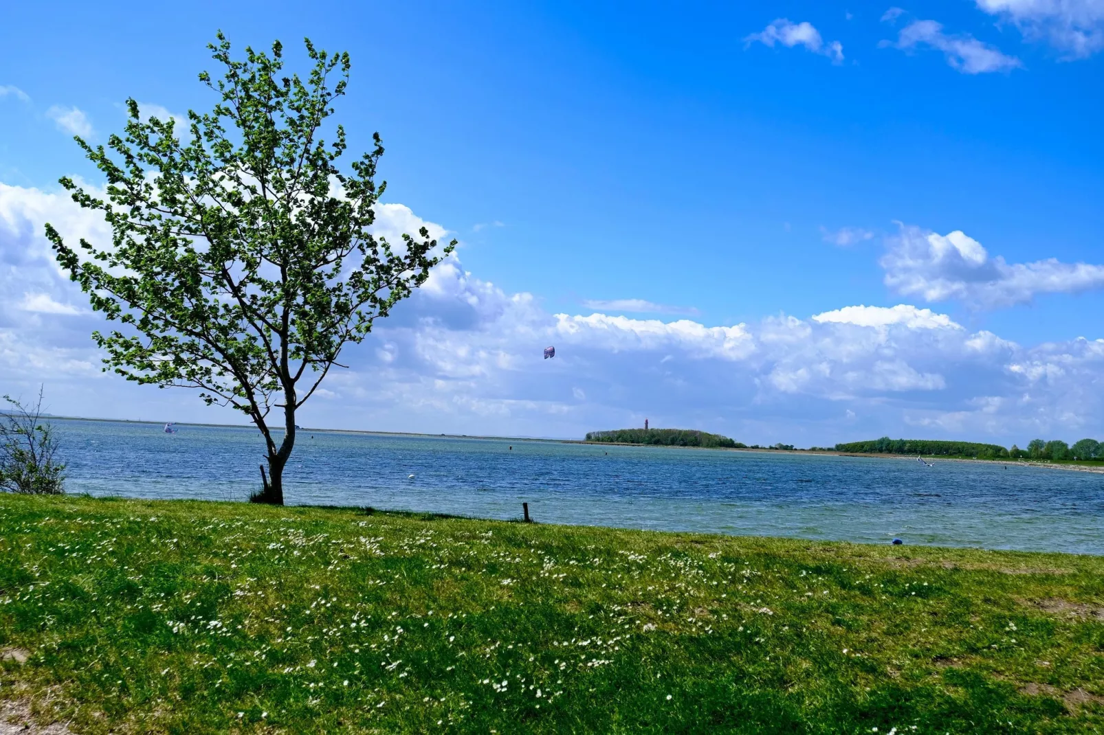 FeWo EG E-37-Areas within 1km in summer