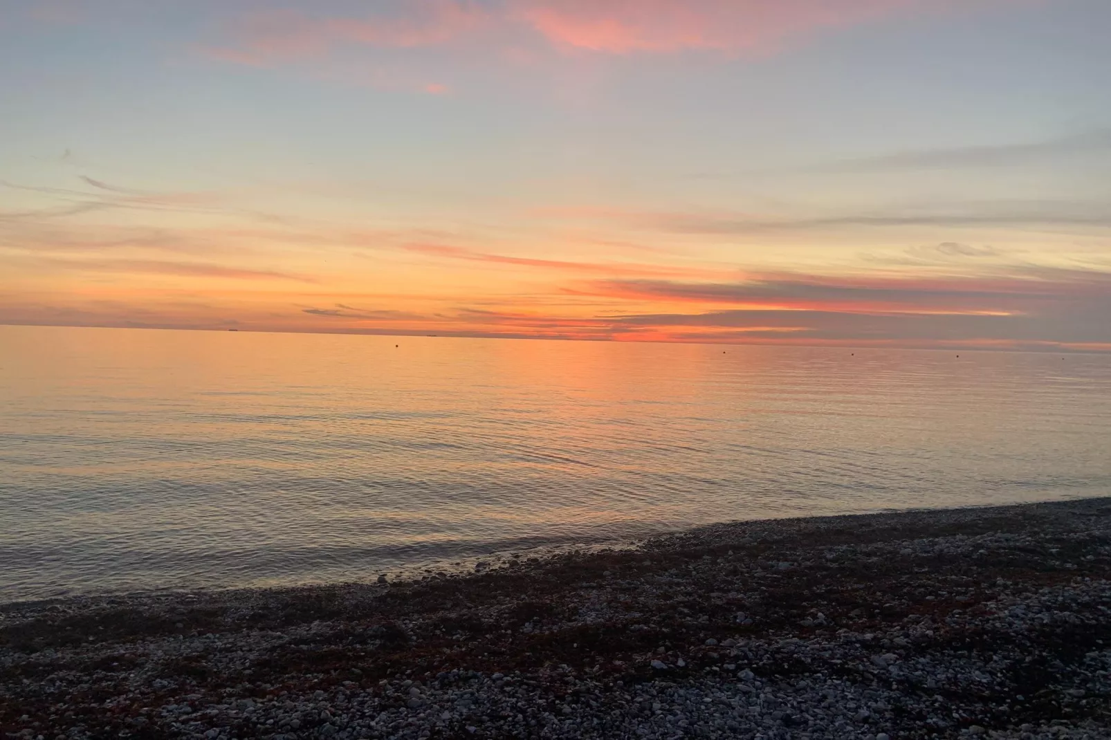 Bojendorf FehAmore 4 P