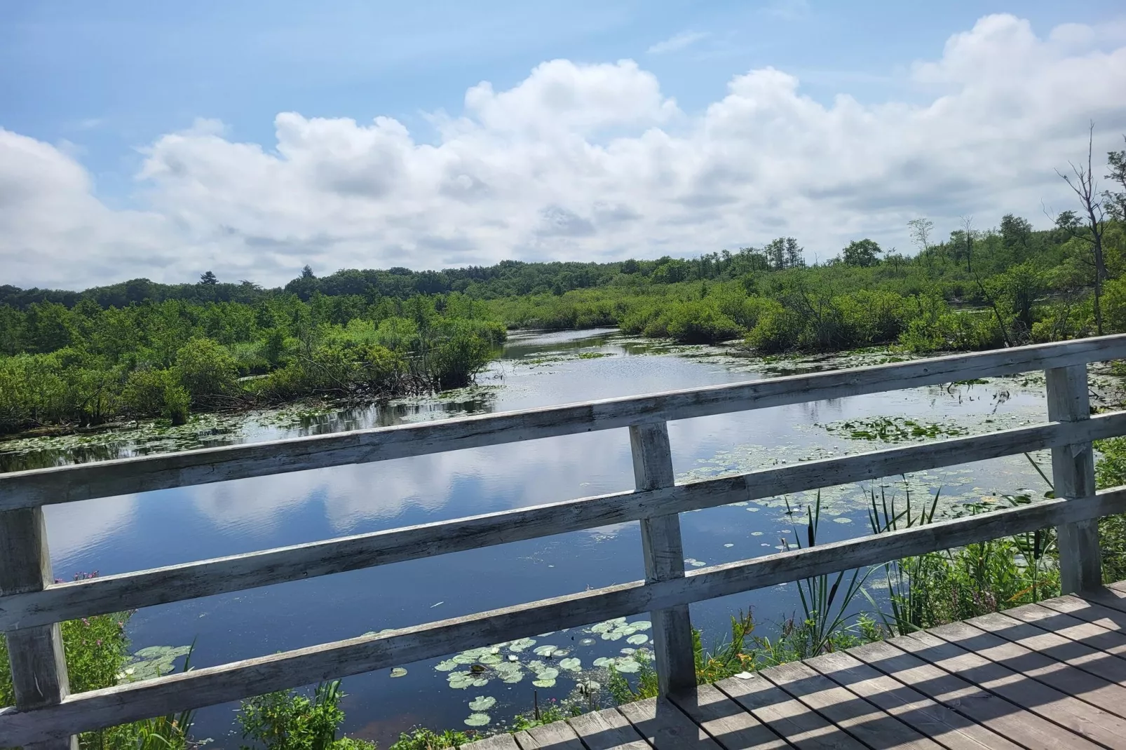 Domki wakacyjne w Gąskach-Areas within 1km in summer